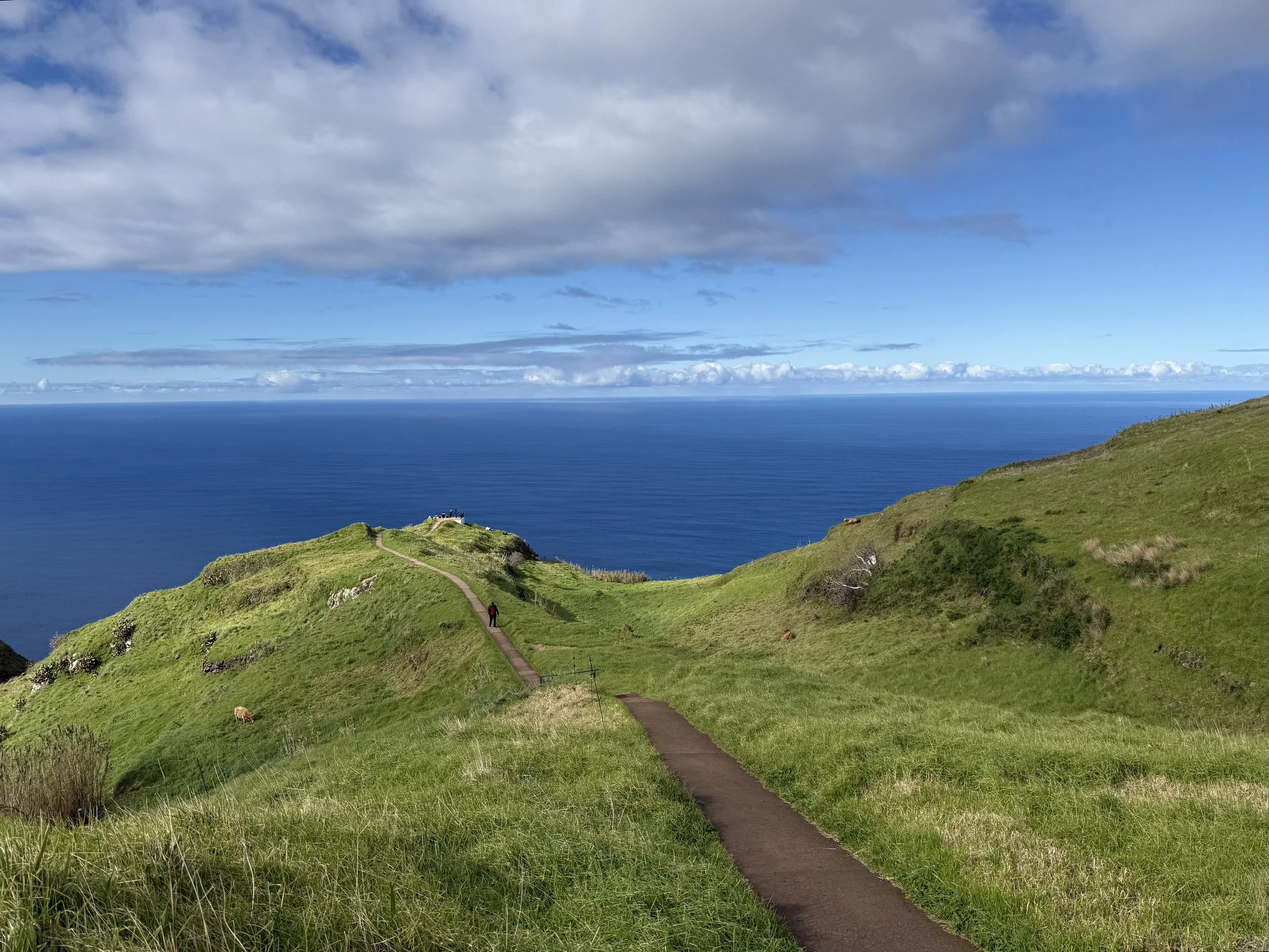 A scenic coastal landscape with a winding path through green grassy hills leading to the ocean, under a partly cloudy sky.