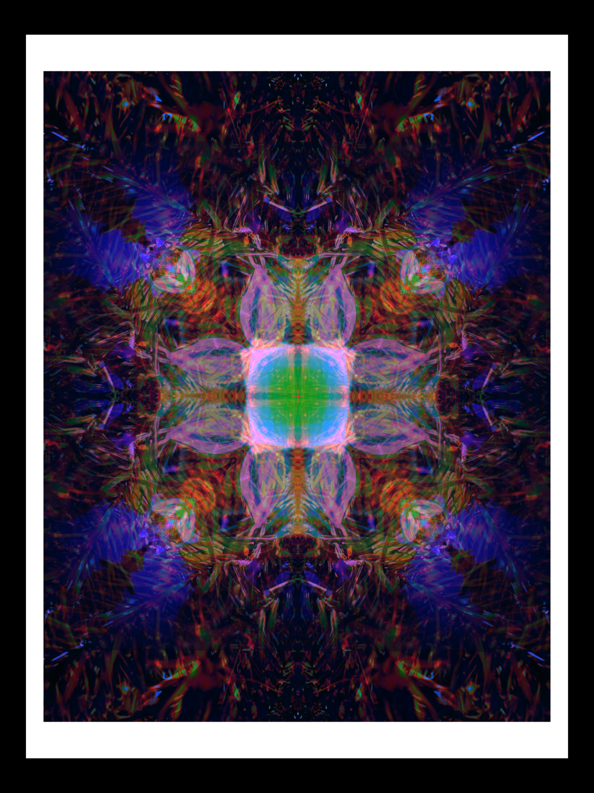IMG_0485.PNG