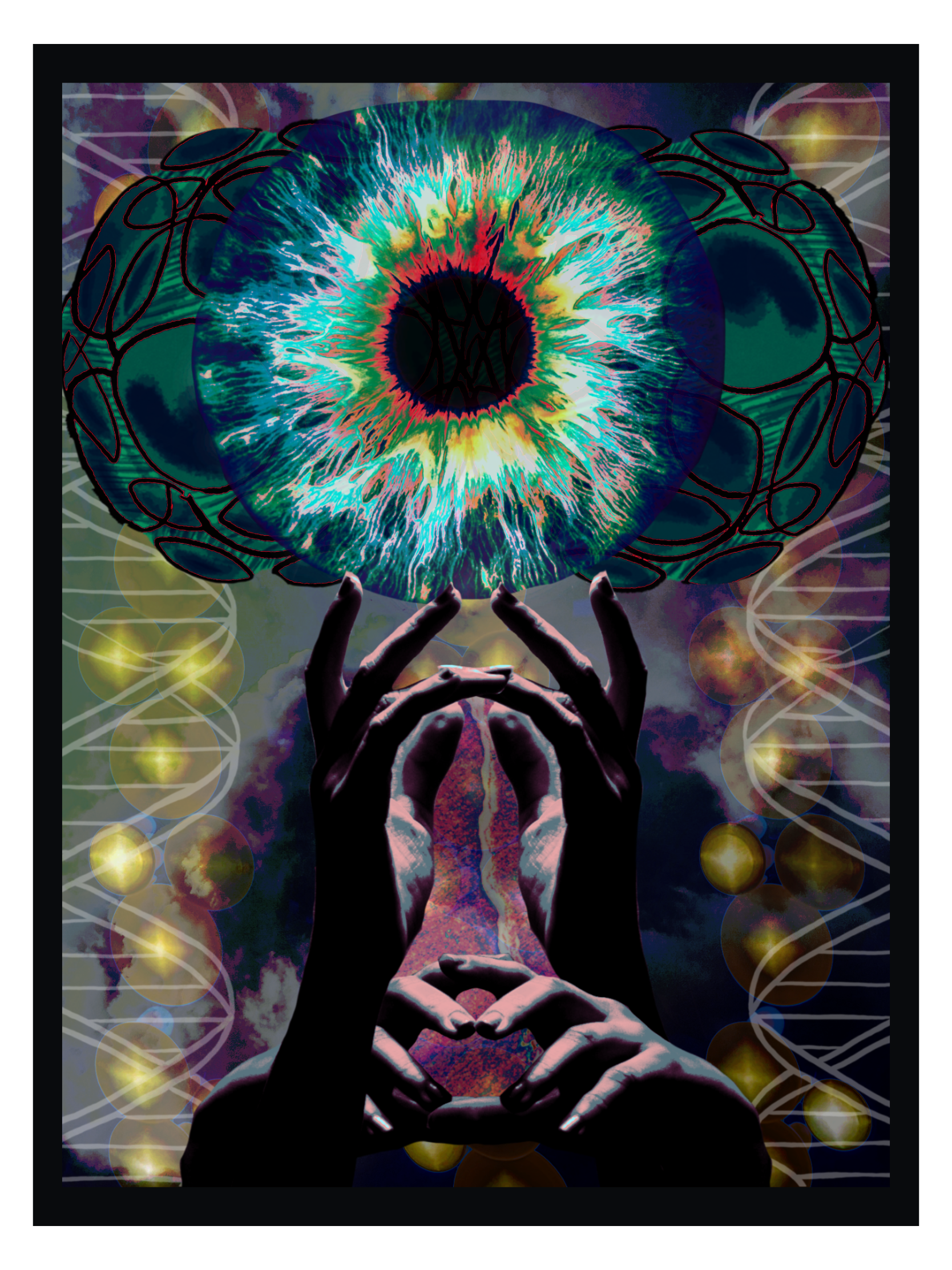 IMG_0054.PNG