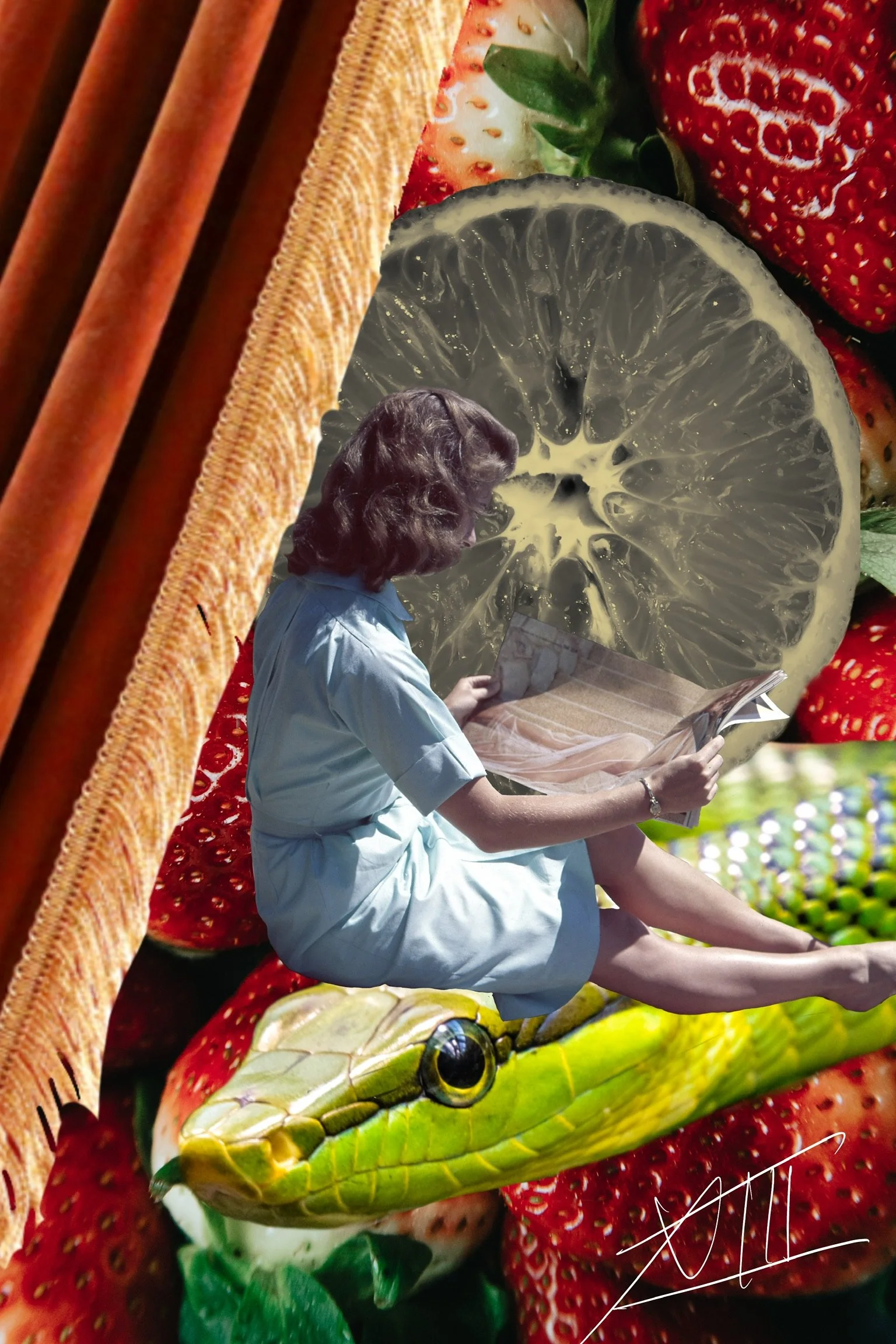 Bedside Snake