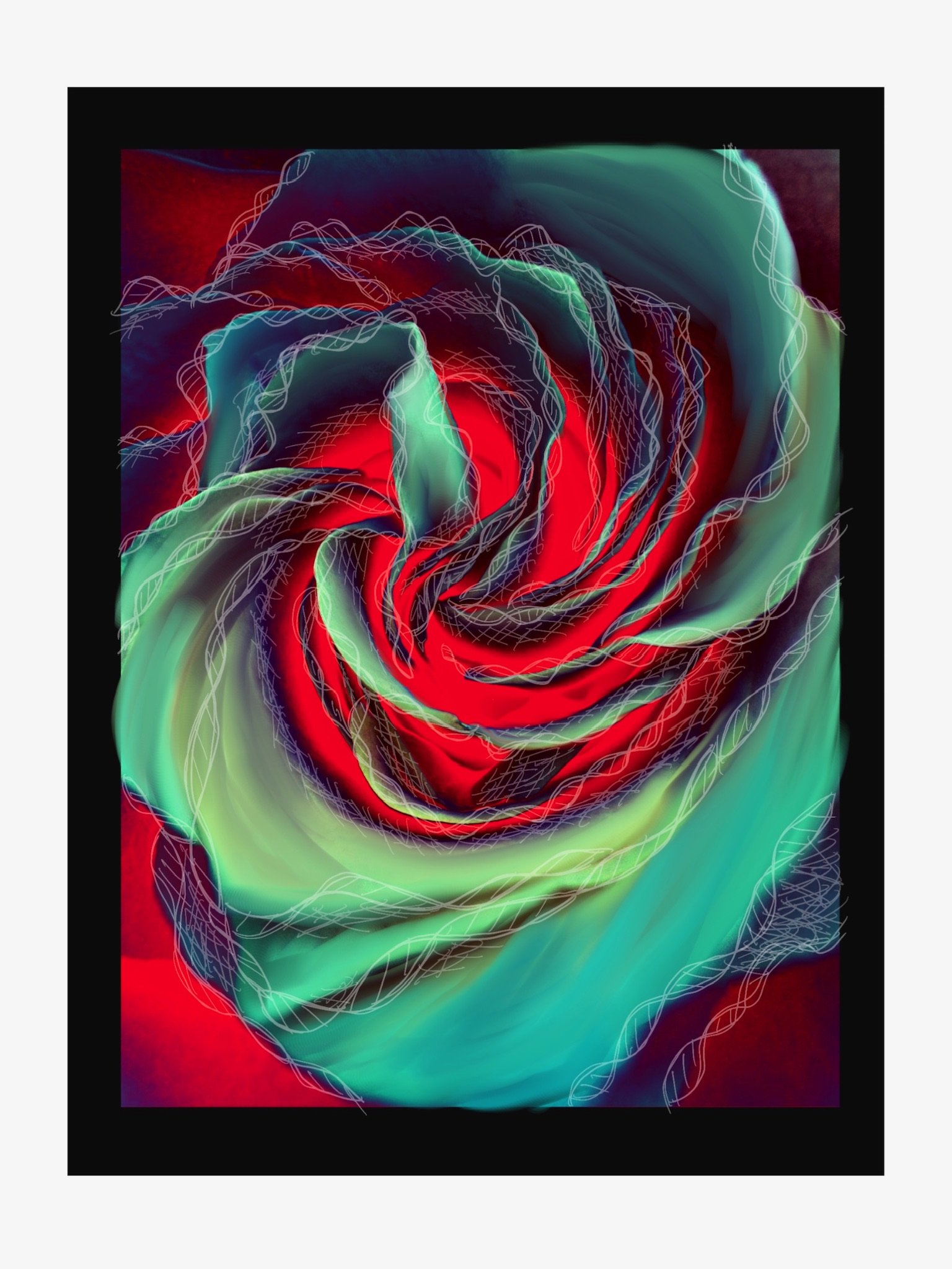 Wind Phone II