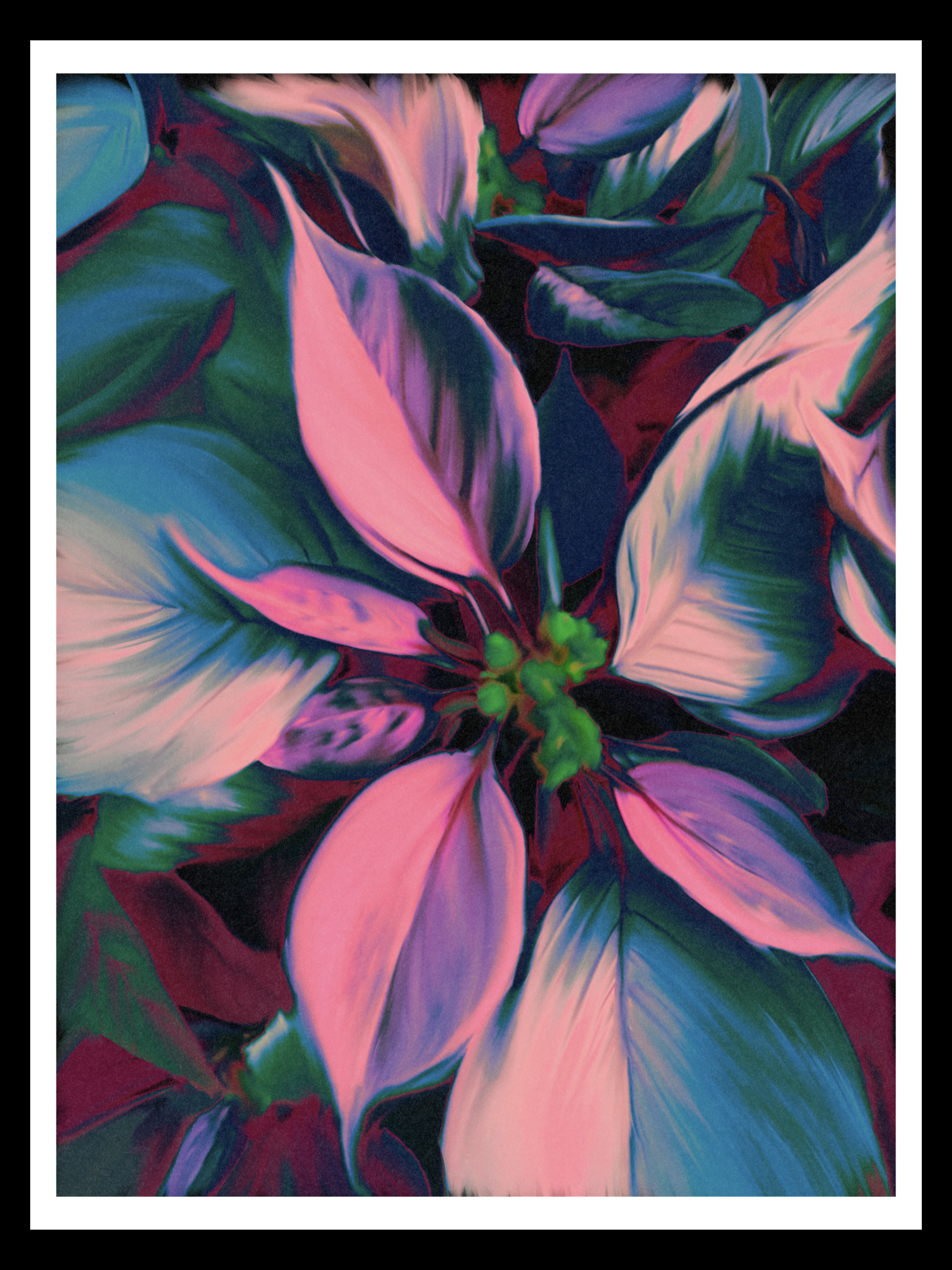 IMG_0141.PNG