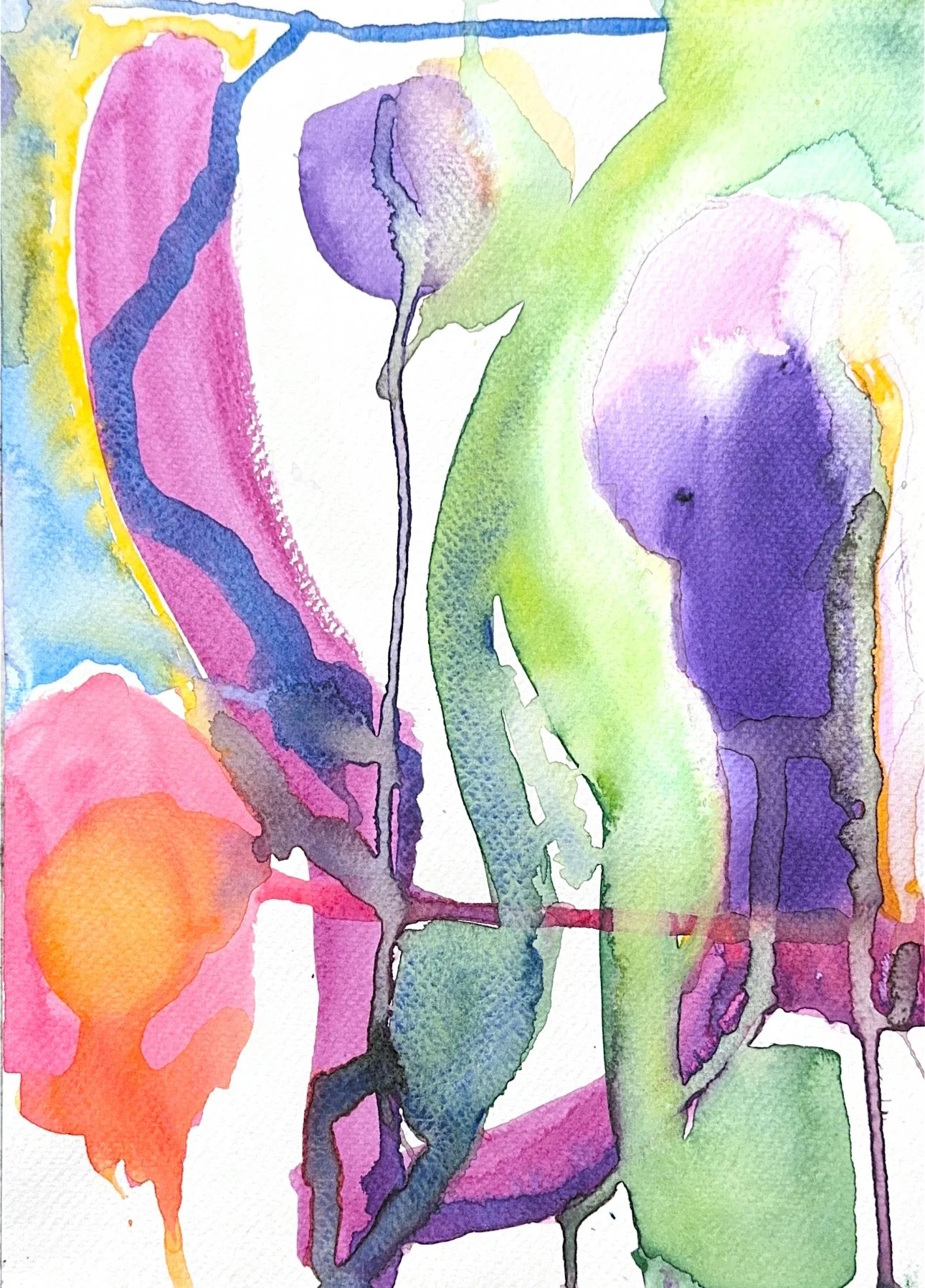 IMG_6217.jpg