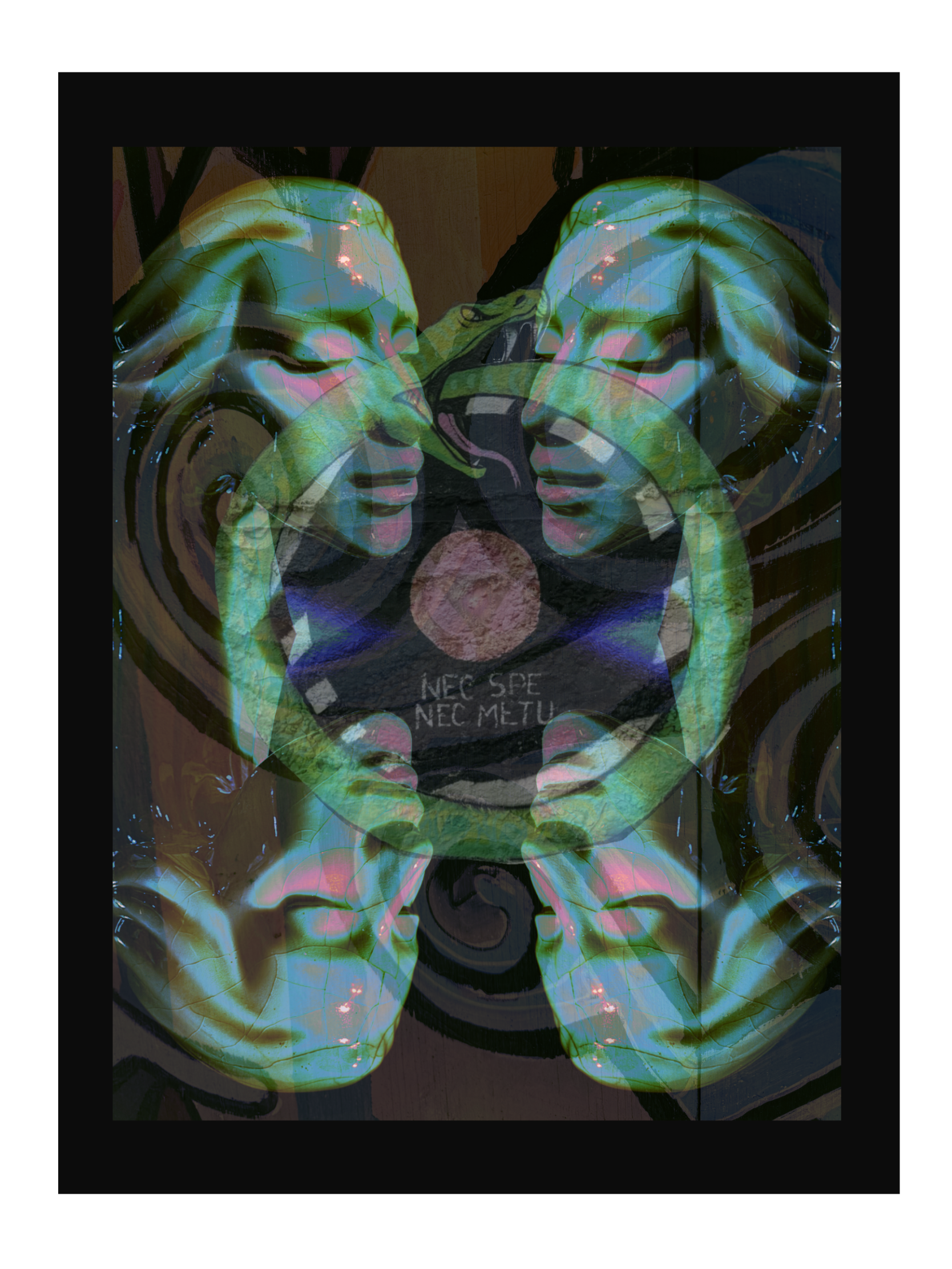 IMG_0554.PNG