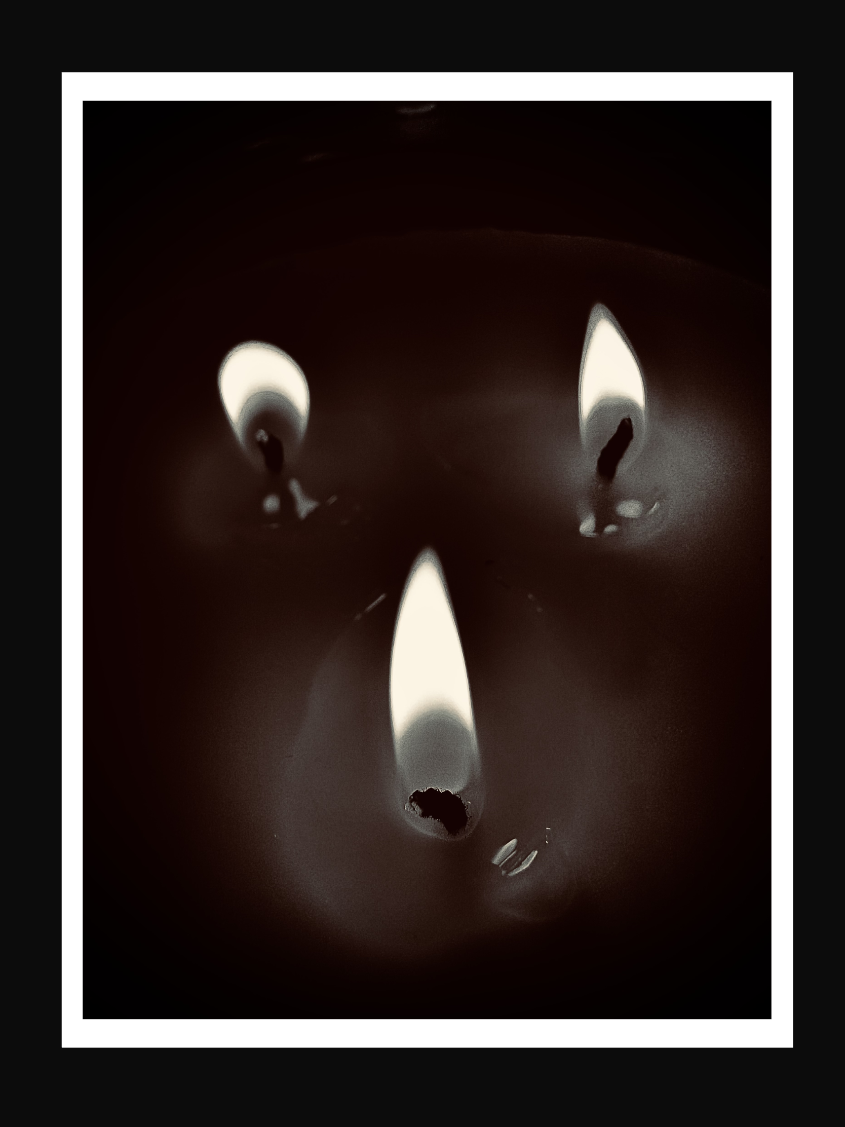 IMG_0295.PNG