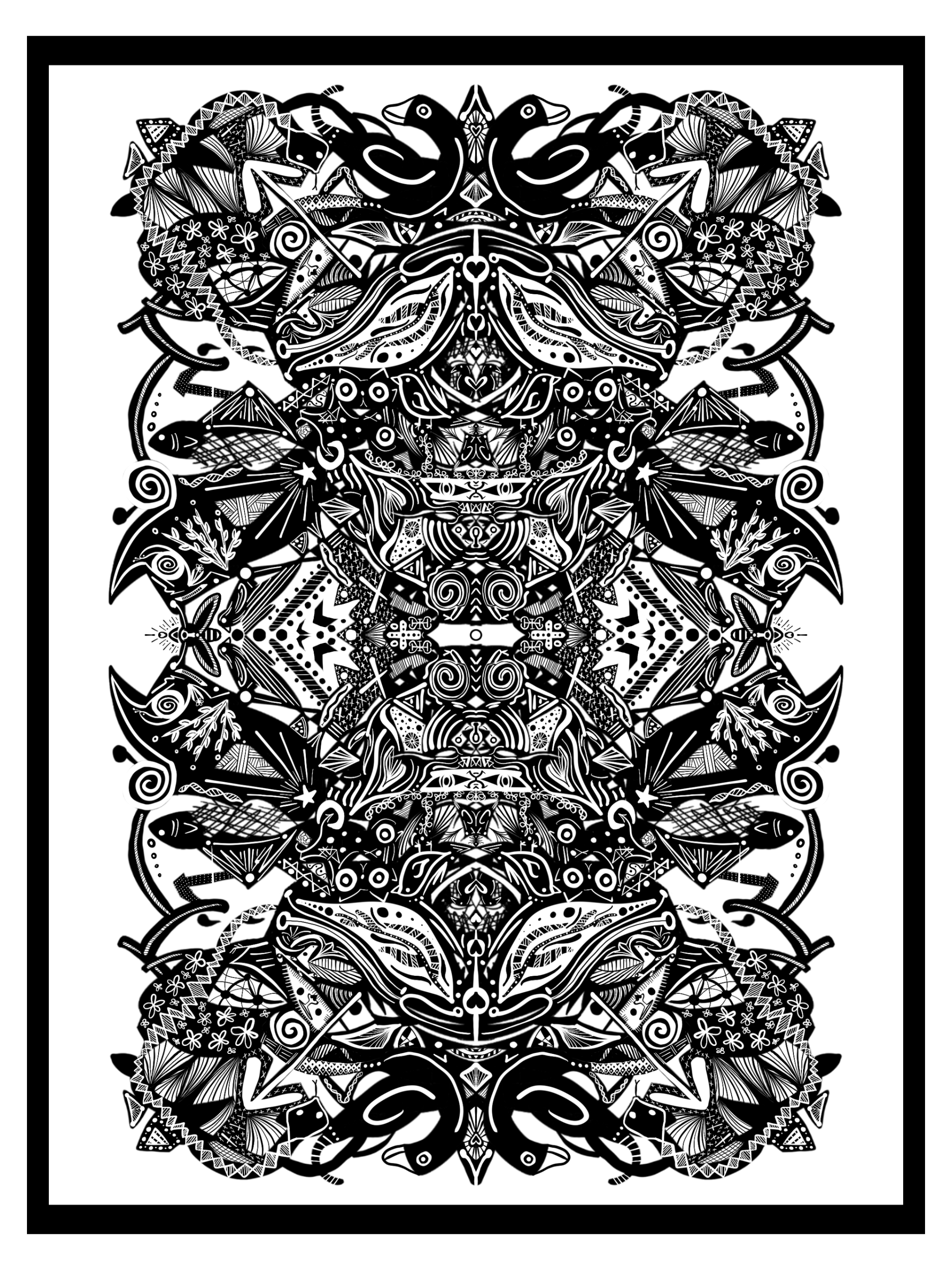 IMG_0206.PNG