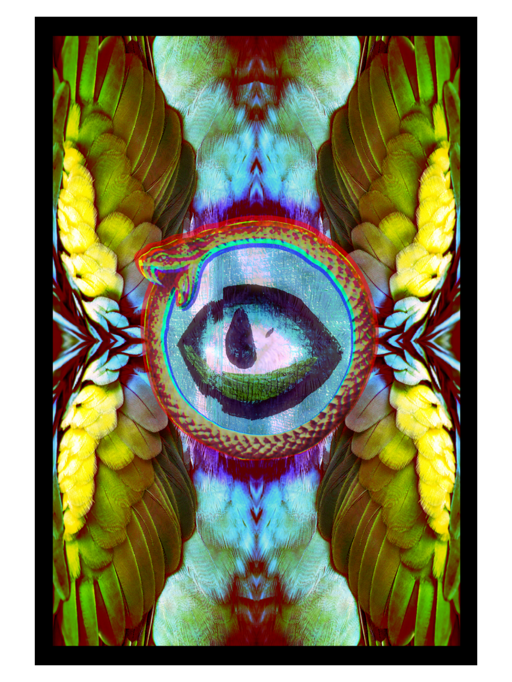IMG_0473.PNG