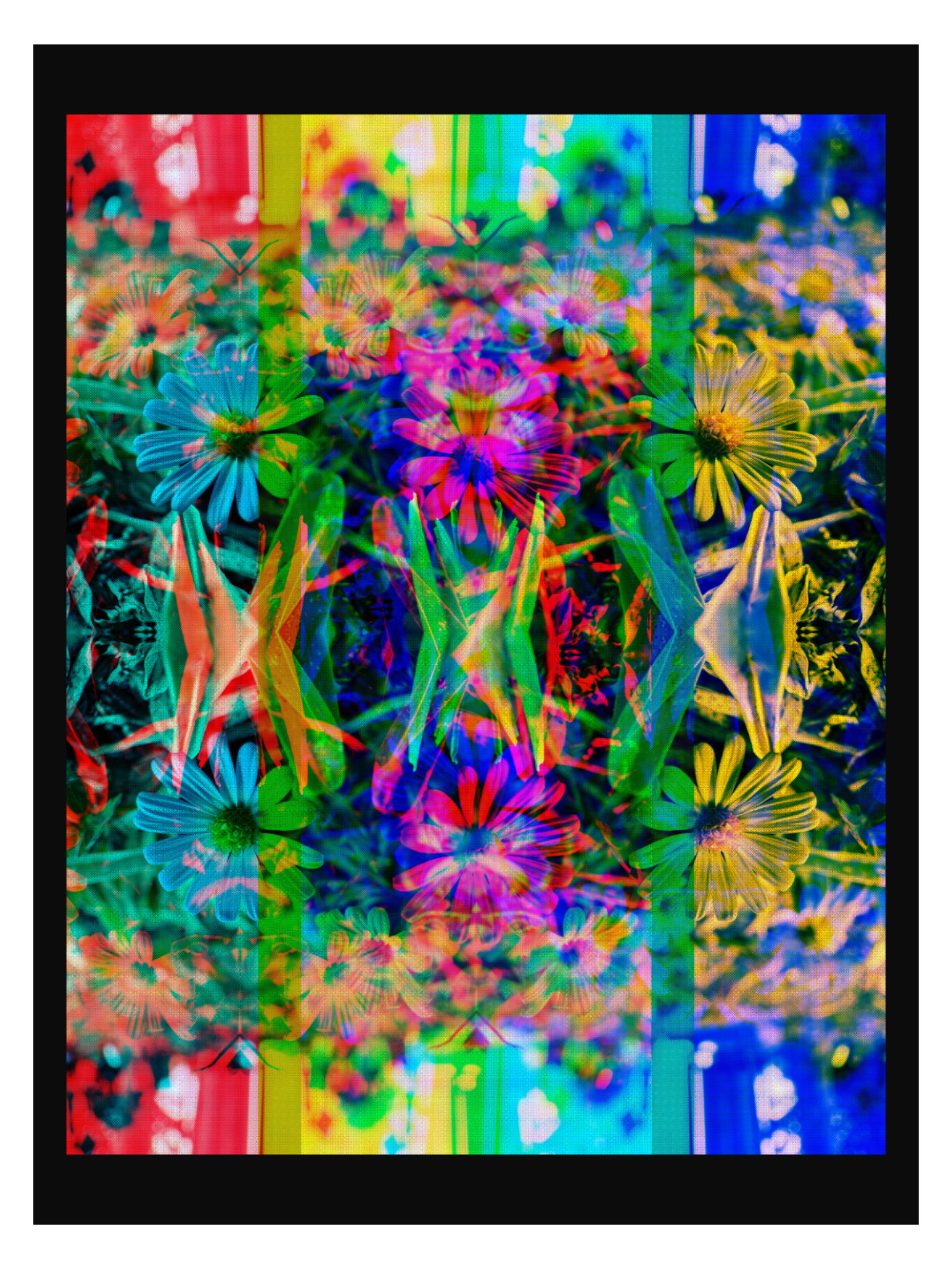 IMG_0500.PNG