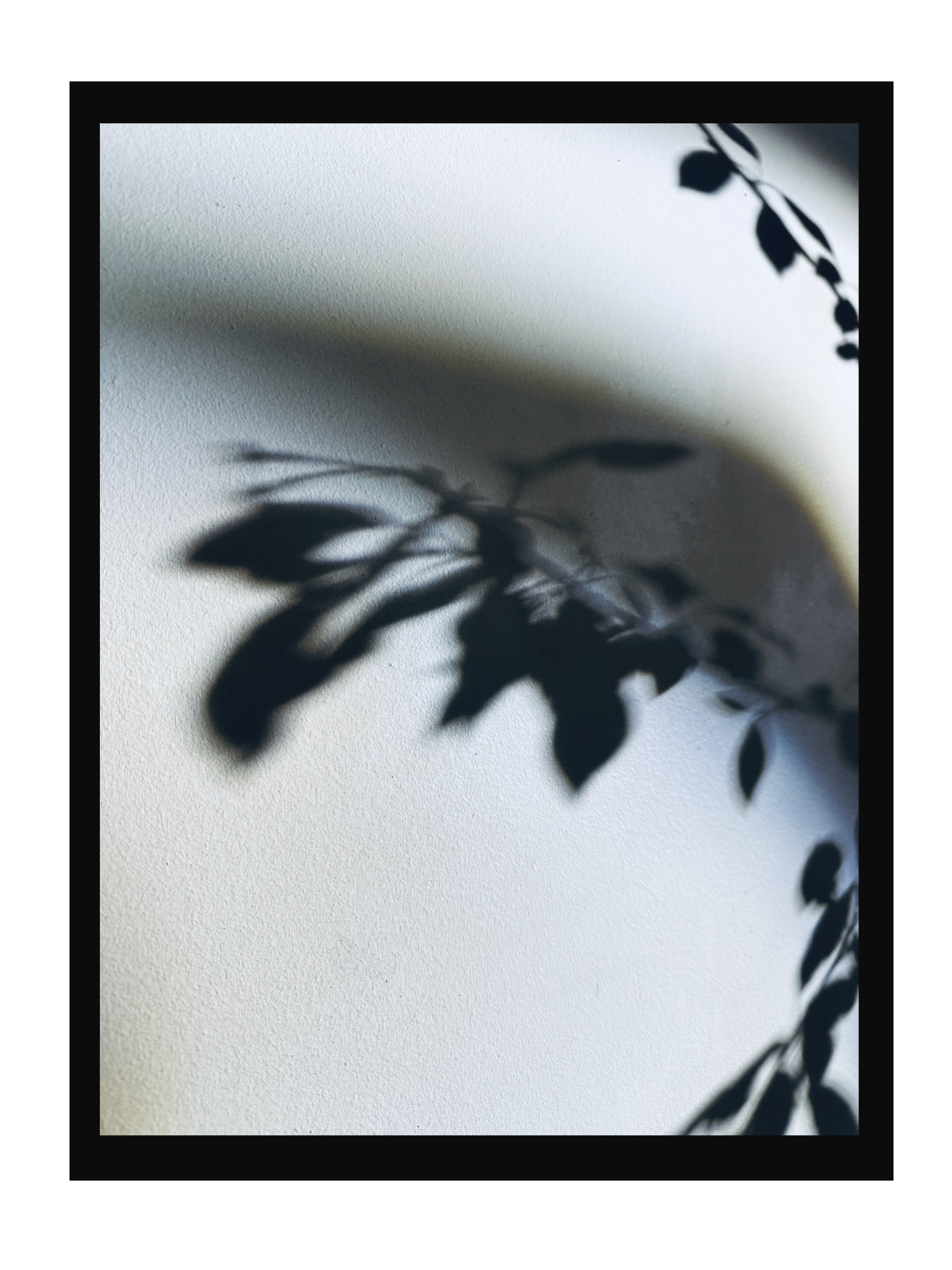 IMG_0384.PNG