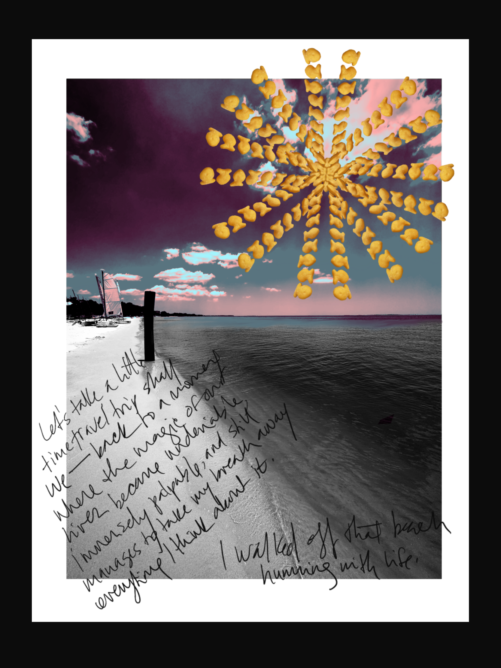 IMG_0557.PNG
