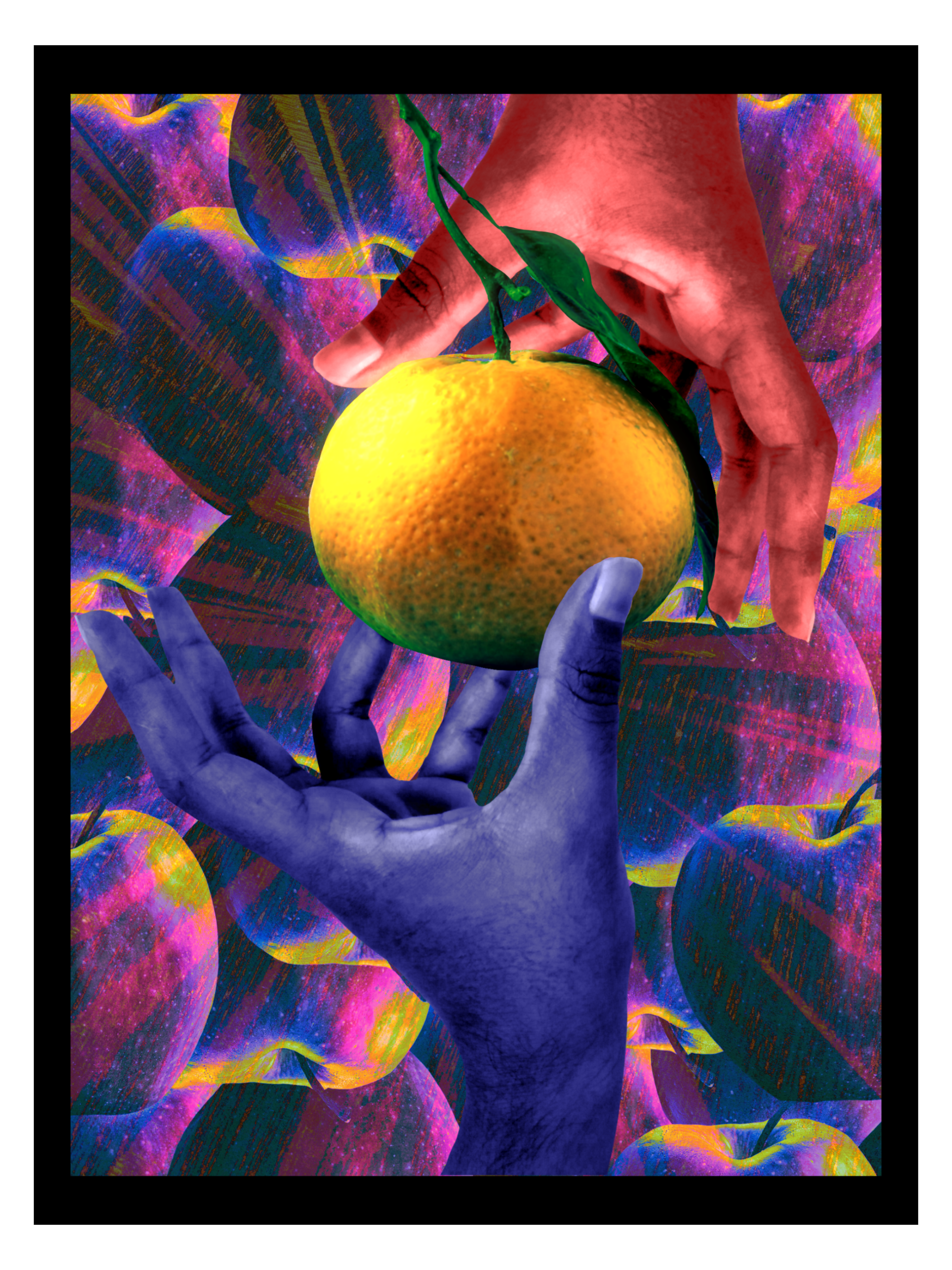 IMG_0462.PNG
