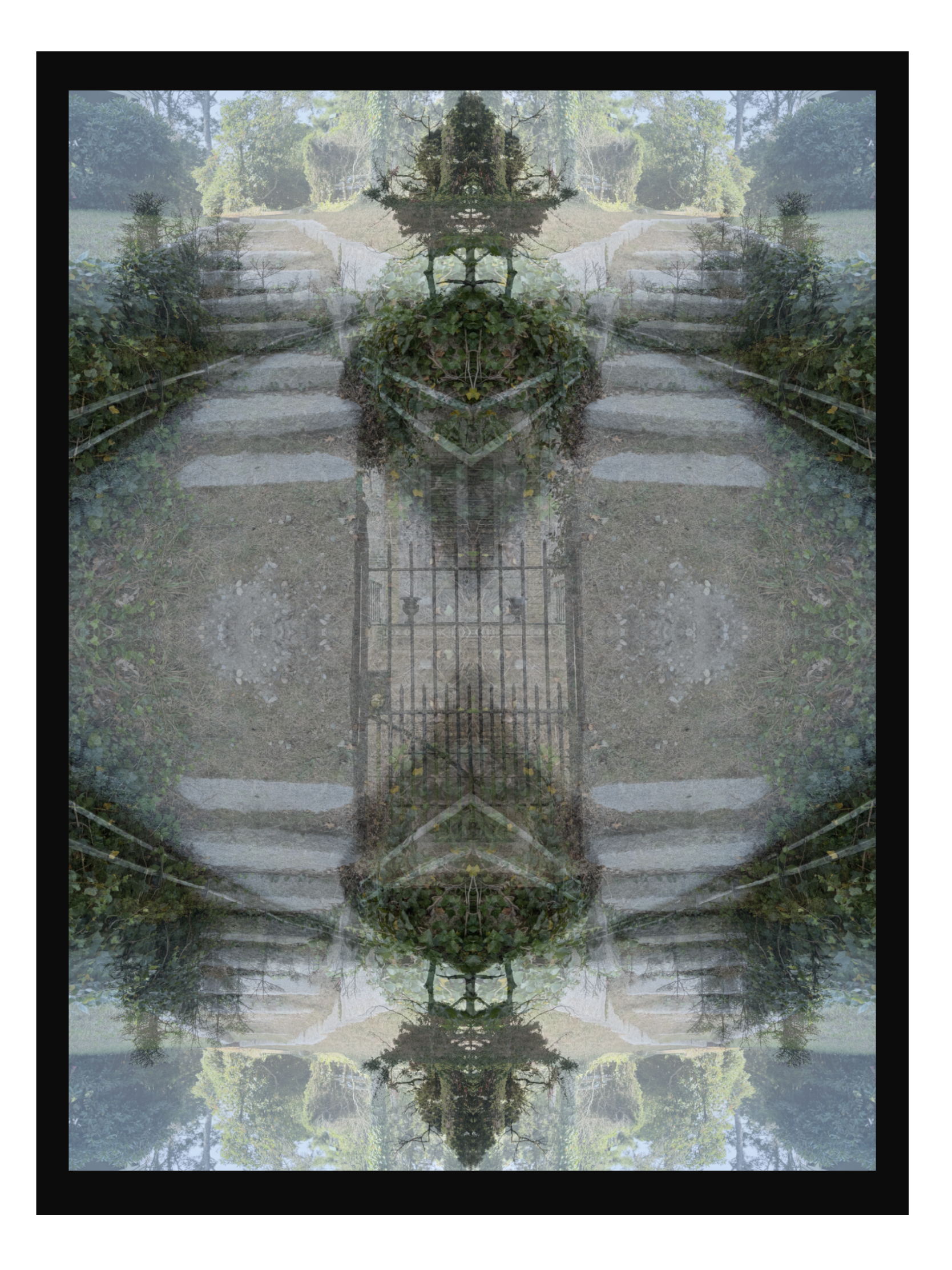 IMG_0597.PNG