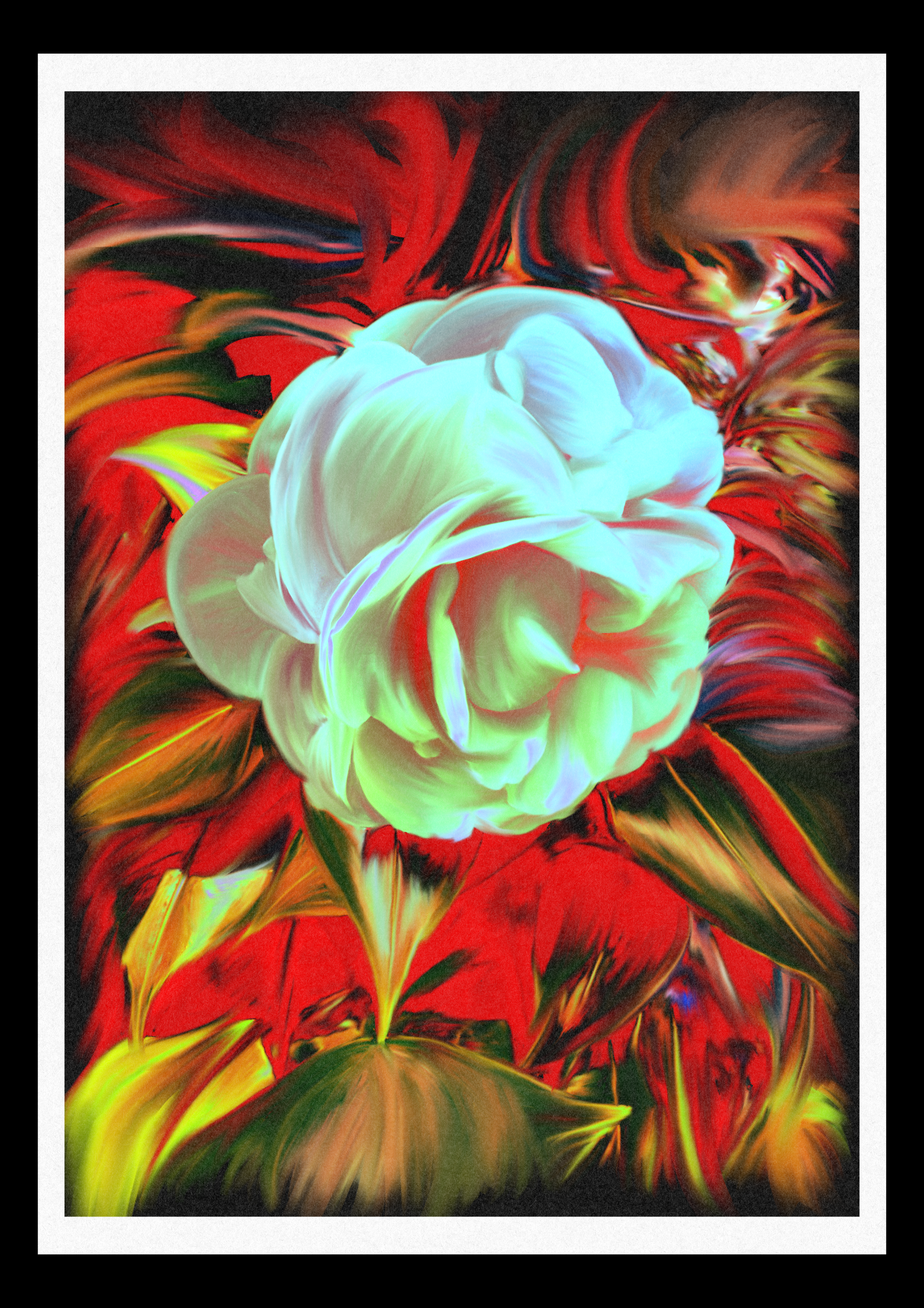 IMG_0076.PNG
