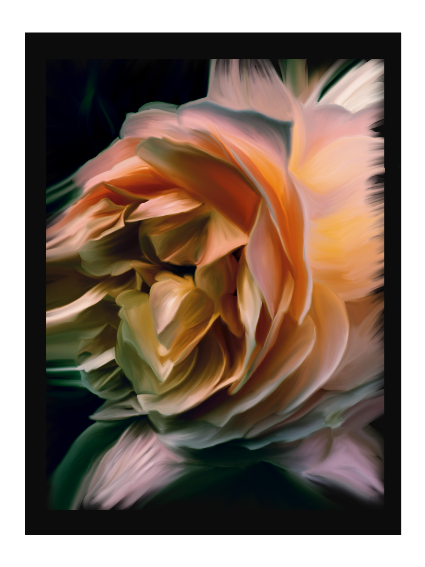 IMG_0146.PNG