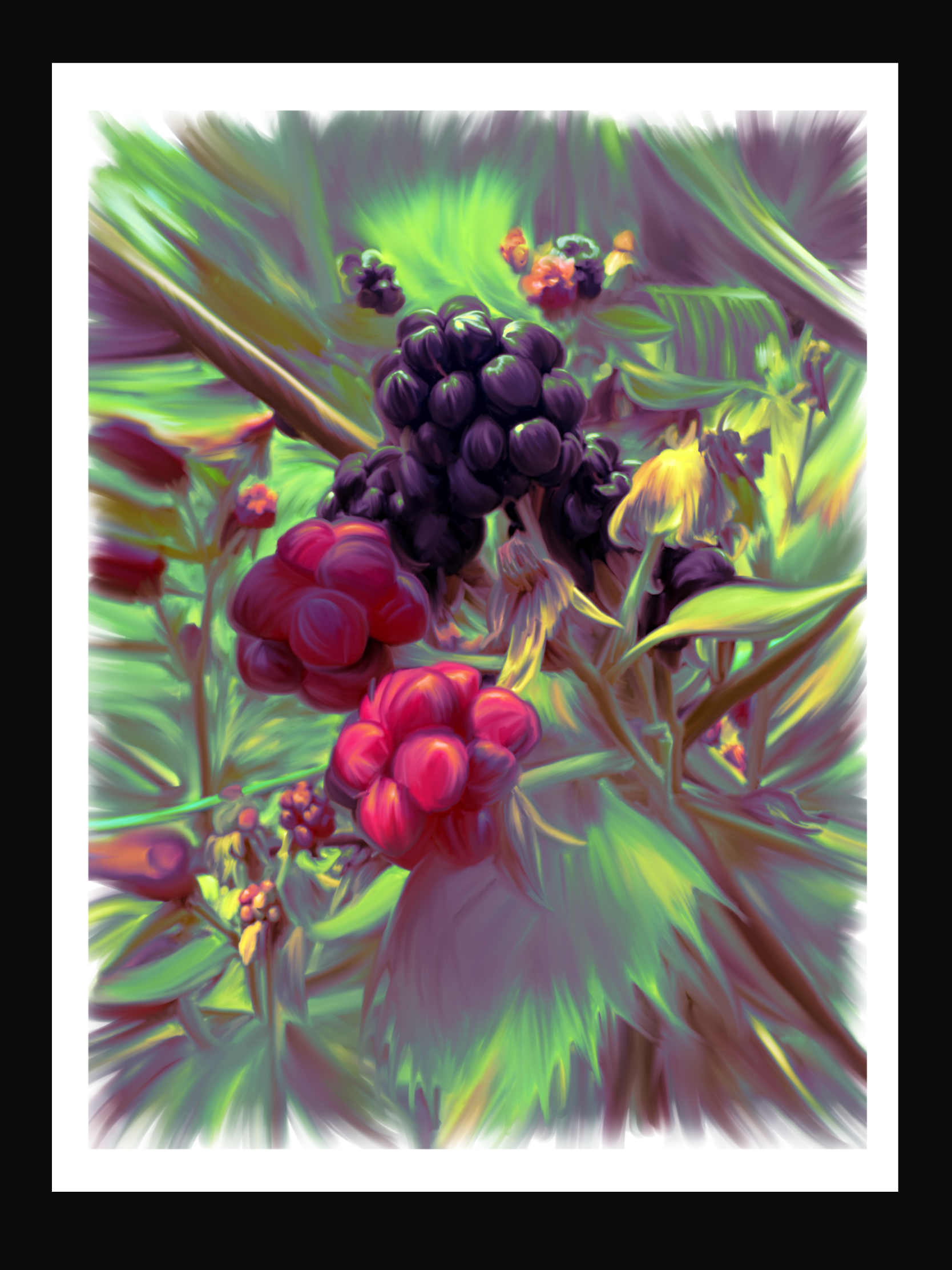 IMG_0080.PNG