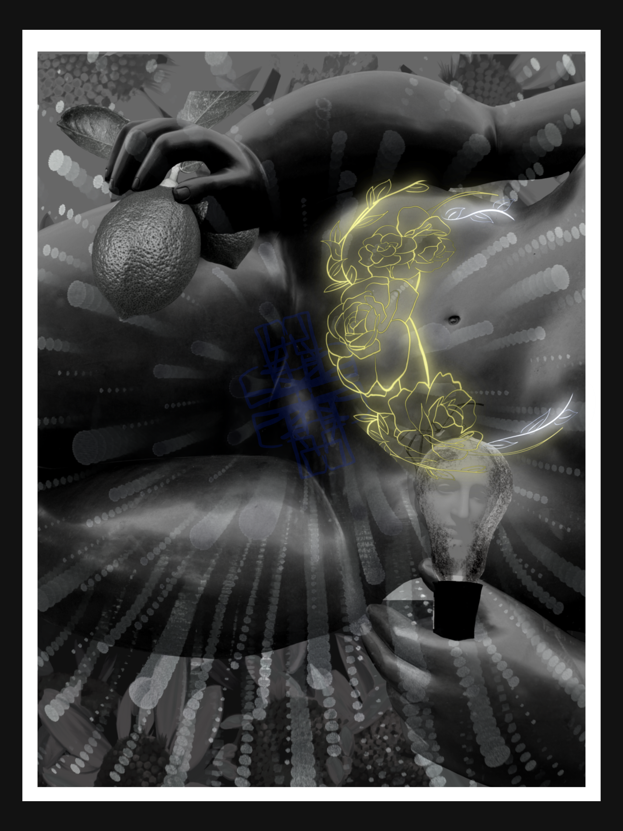 IMG_0425.PNG