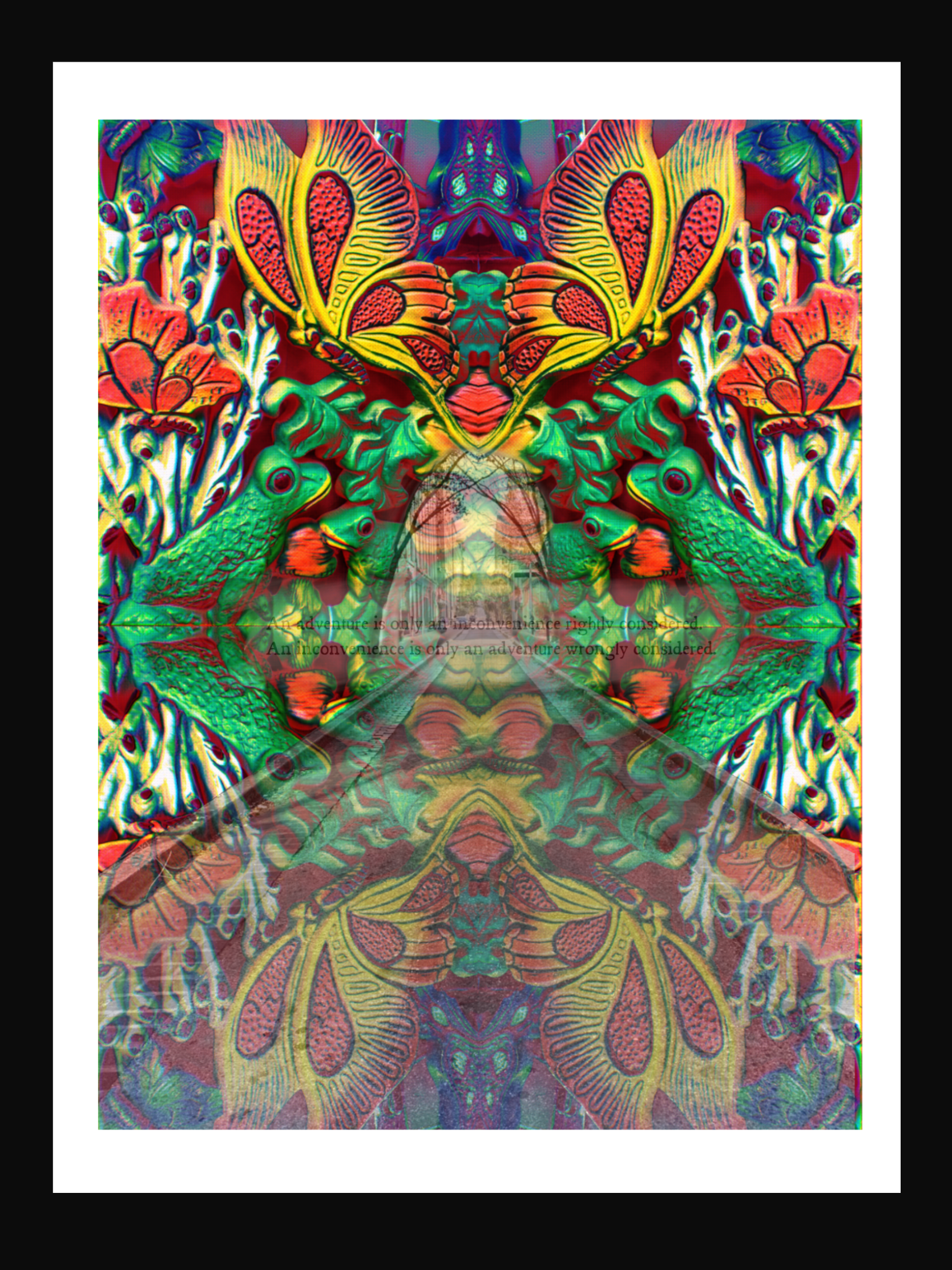 IMG_0556.PNG