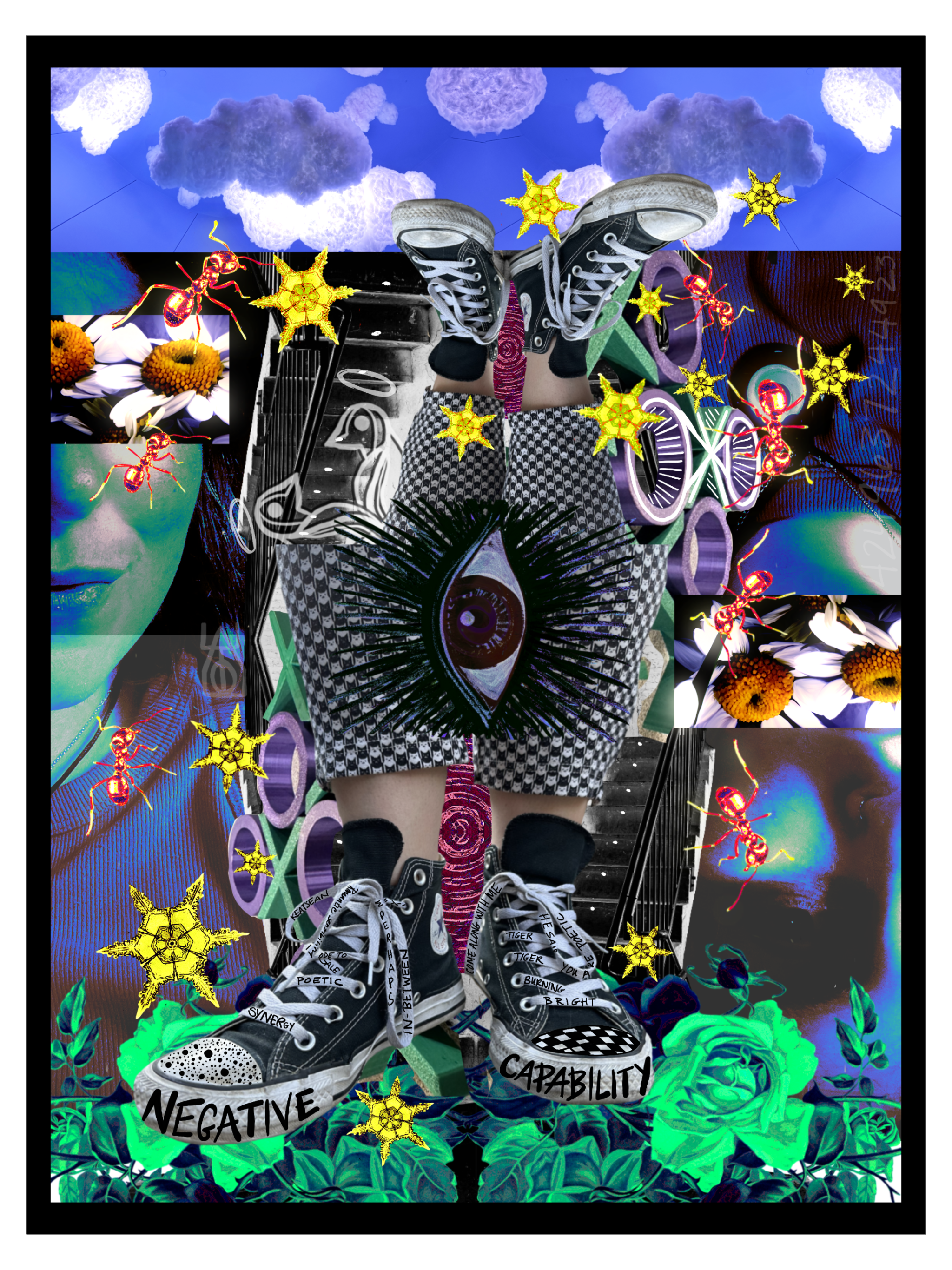 IMG_0423.PNG