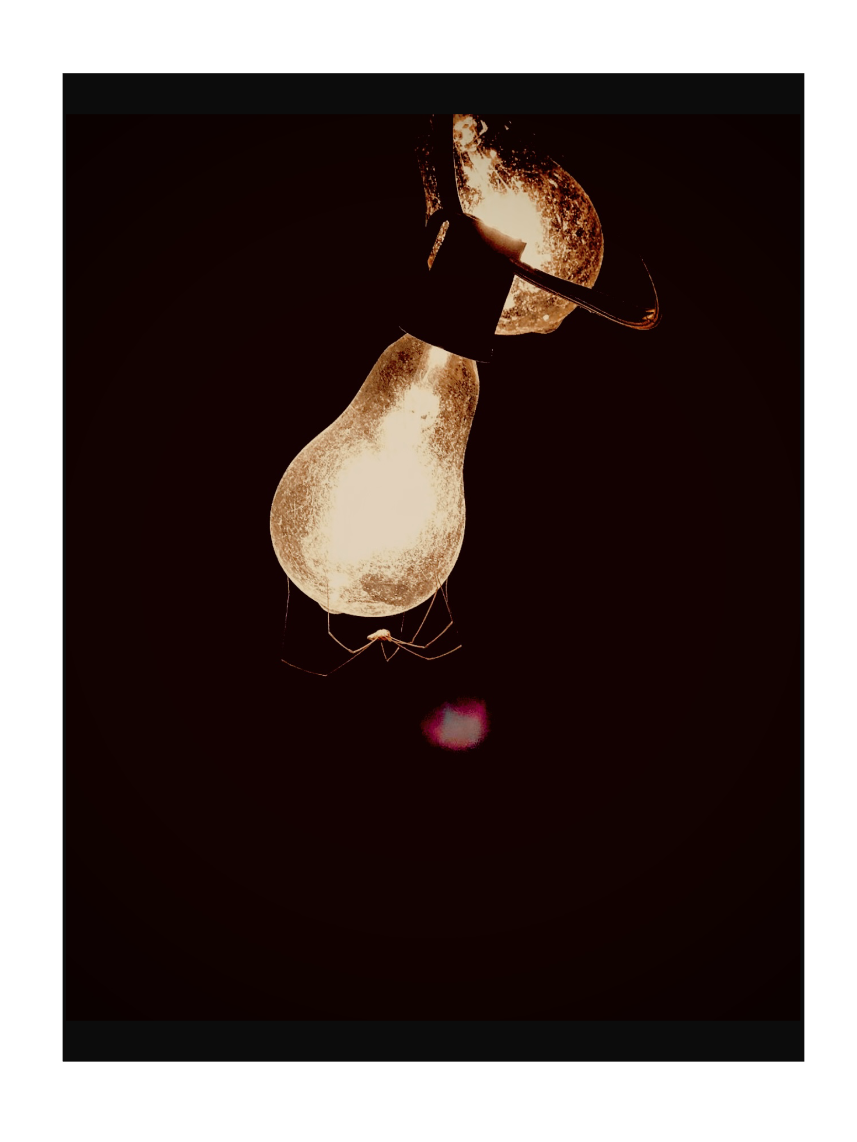 IMG_0088.PNG