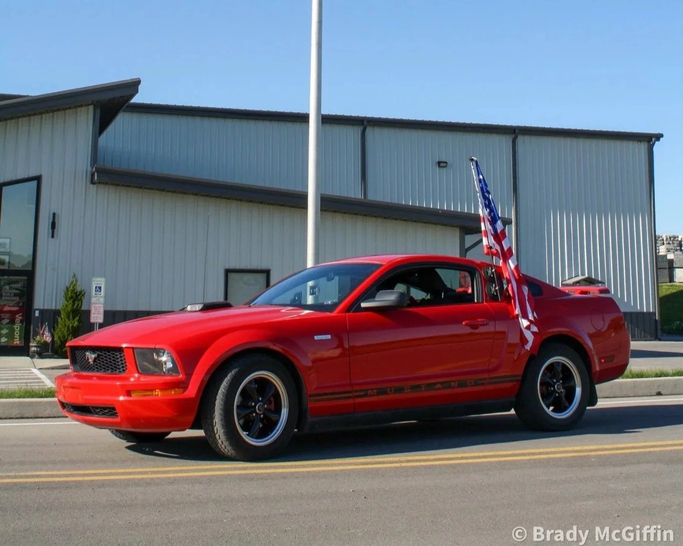 Stang-8.jpg