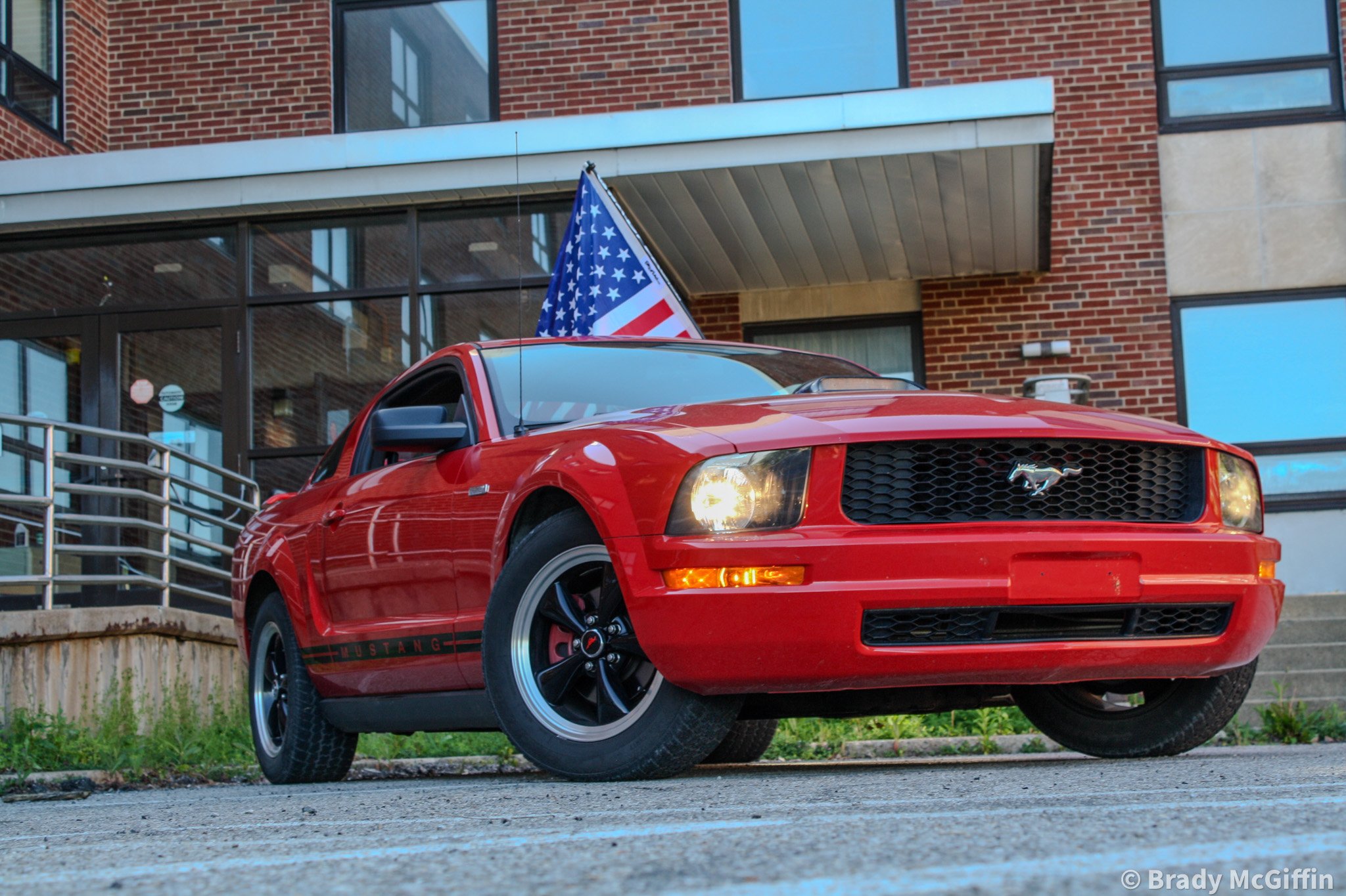Stang-3.jpg