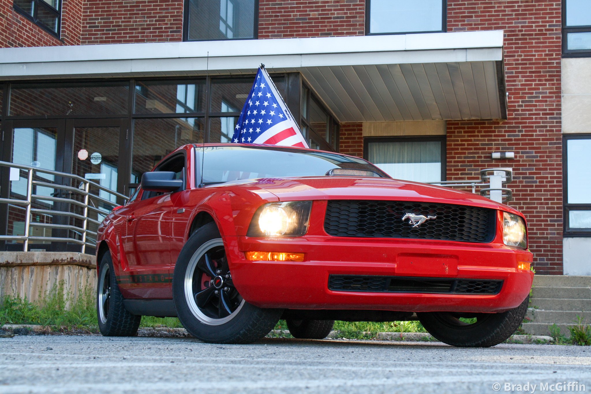 Stang-5.jpg