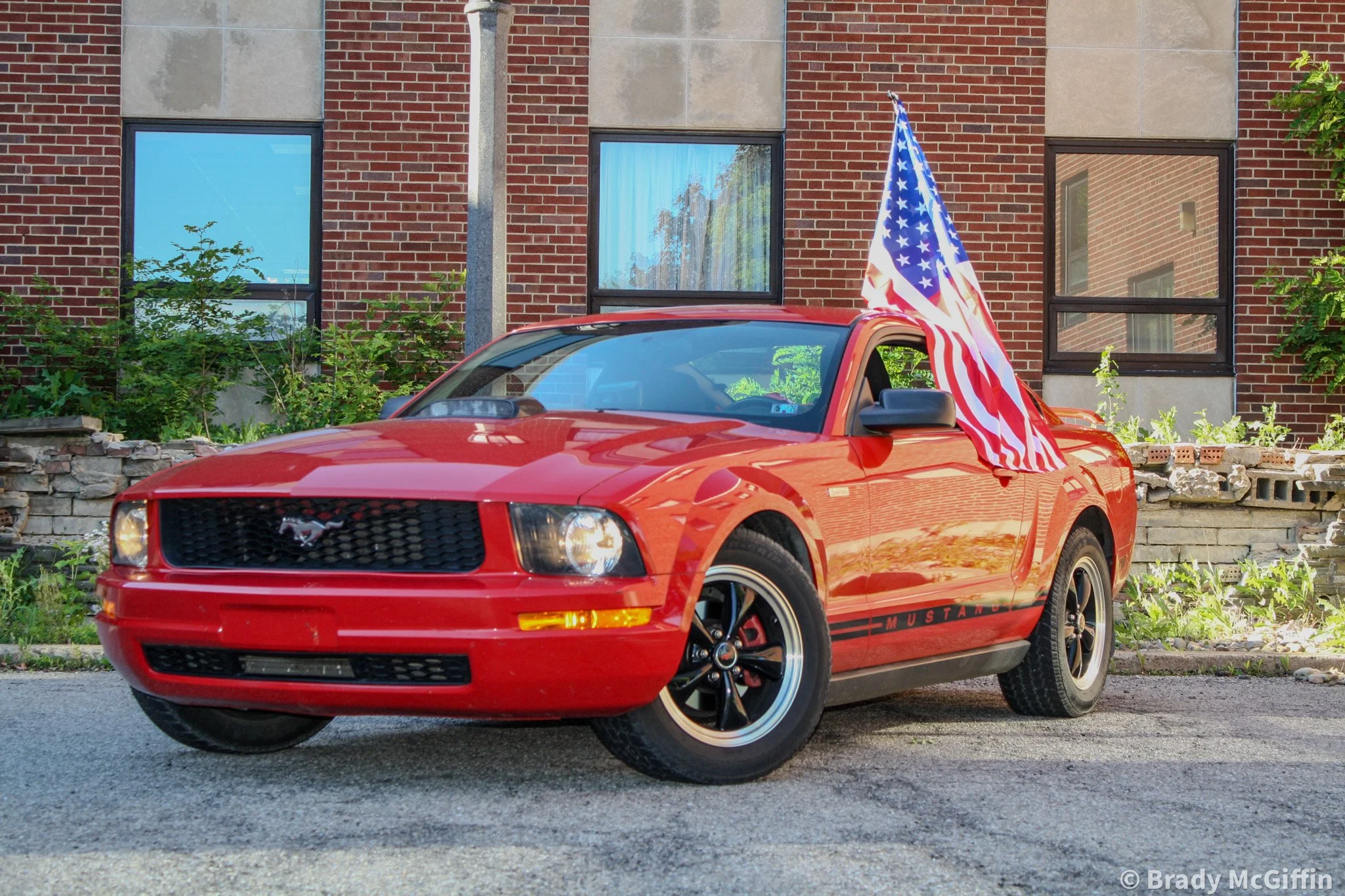 Stang-6.jpg