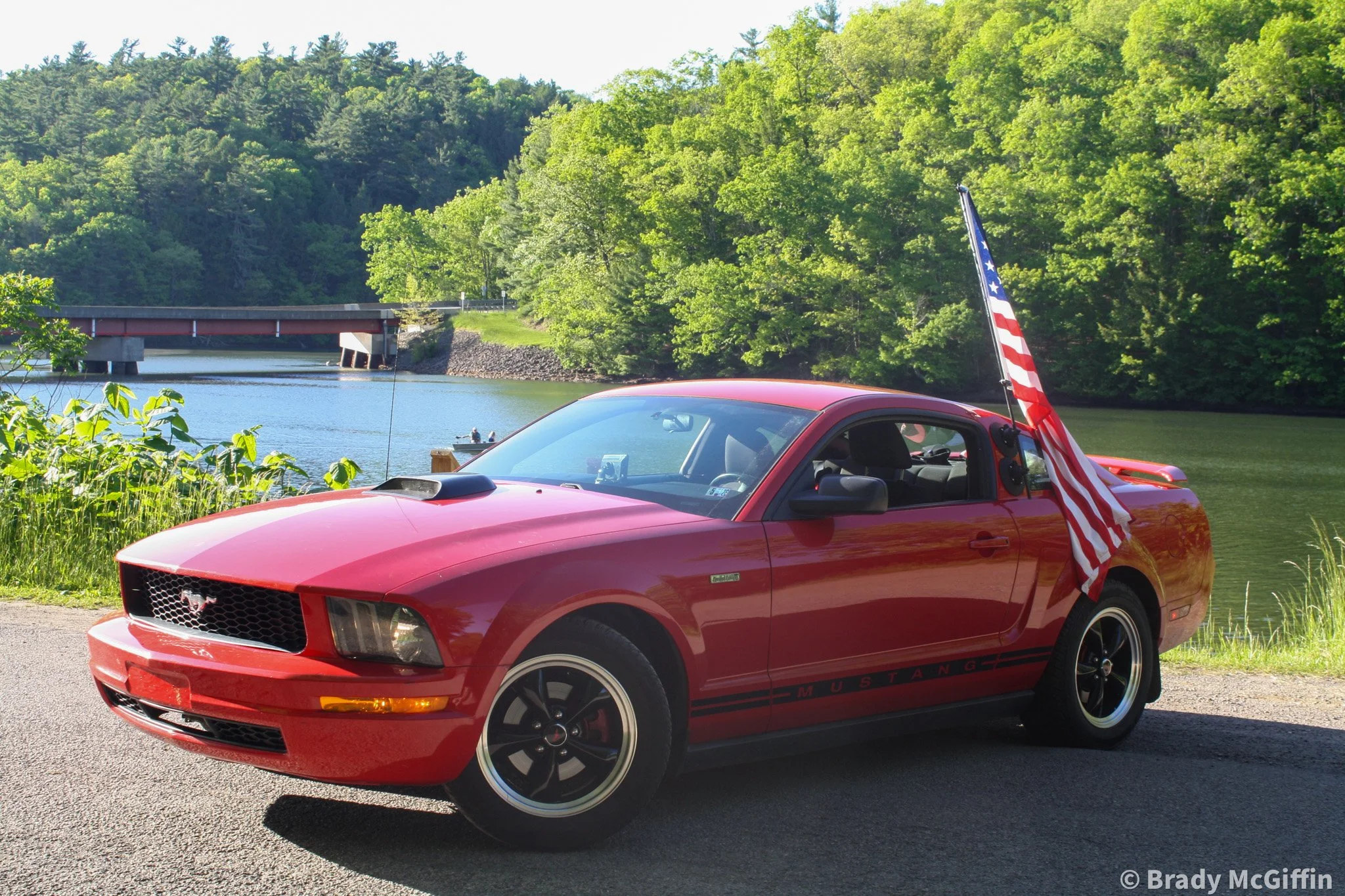 Stang-11.jpg
