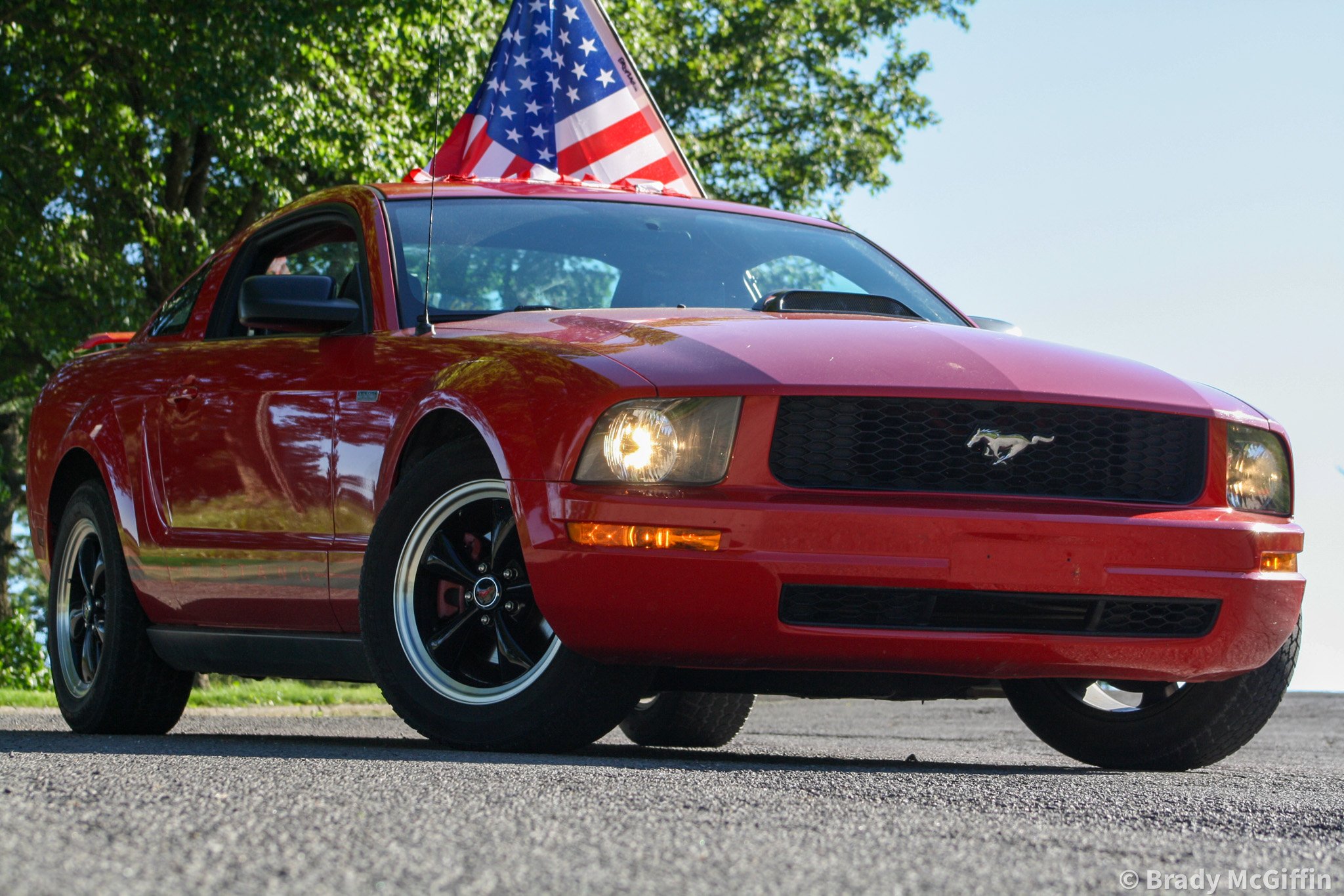 Stang-7.jpg