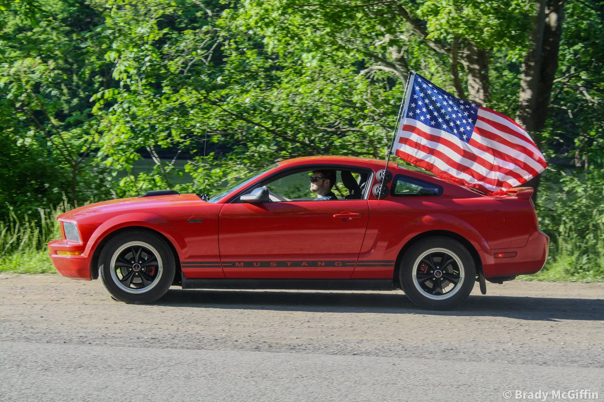 Stang-10.jpg