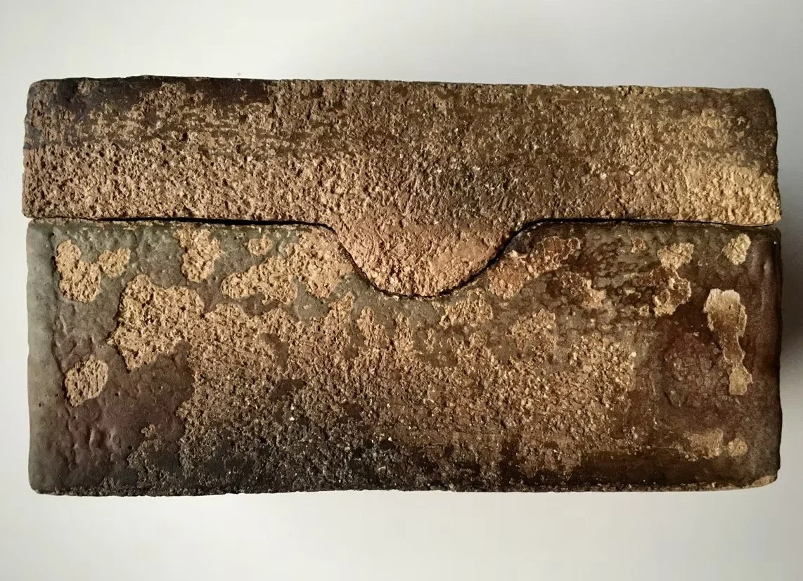 RAPISTUNUT, 2008
käsinrakennettu raku-rasia, 
6,5x11,5 cm