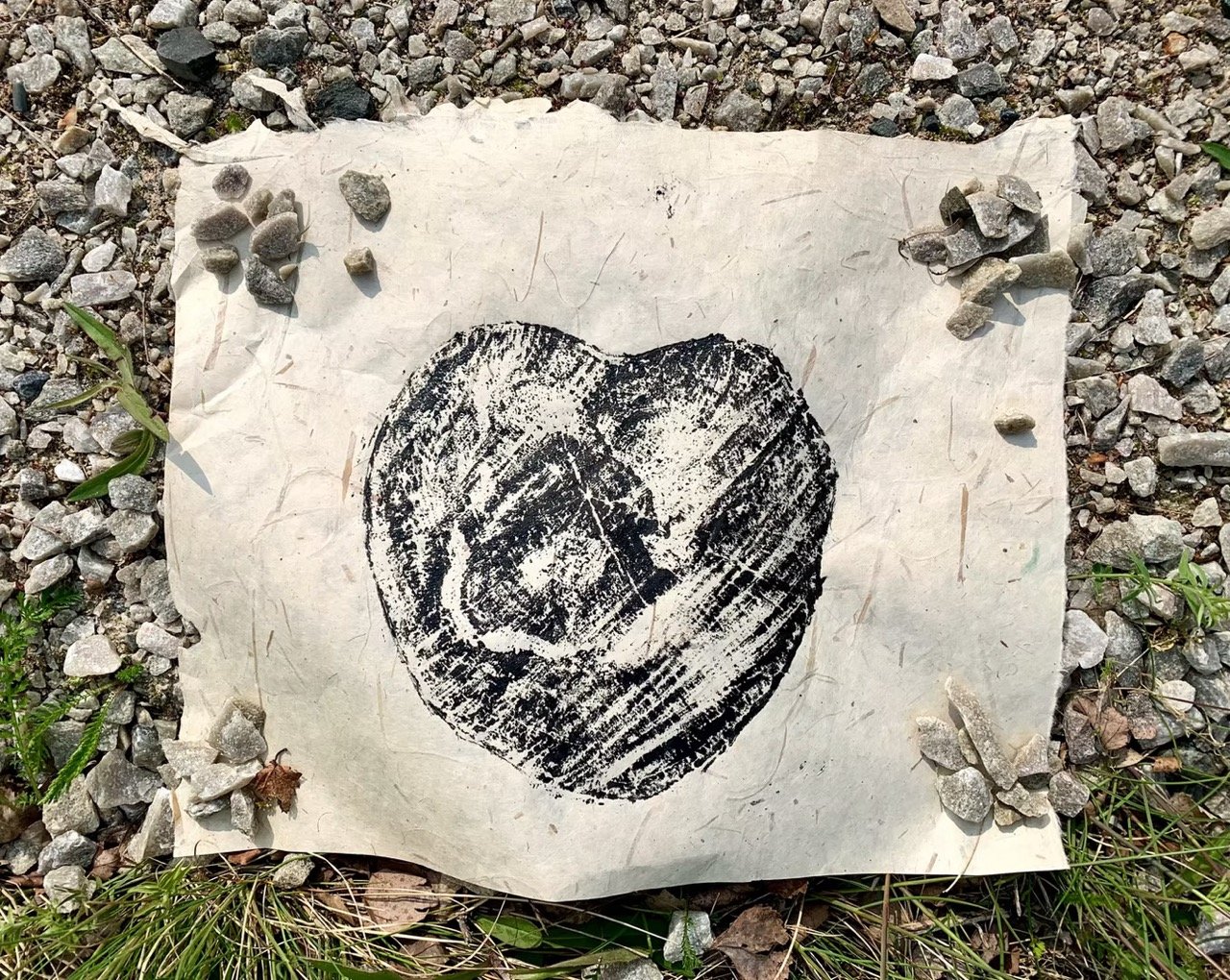 WOODEN HEART, 2025
linoväriprintti 4/4 käsintehdylle paperille, 31x37 cm
