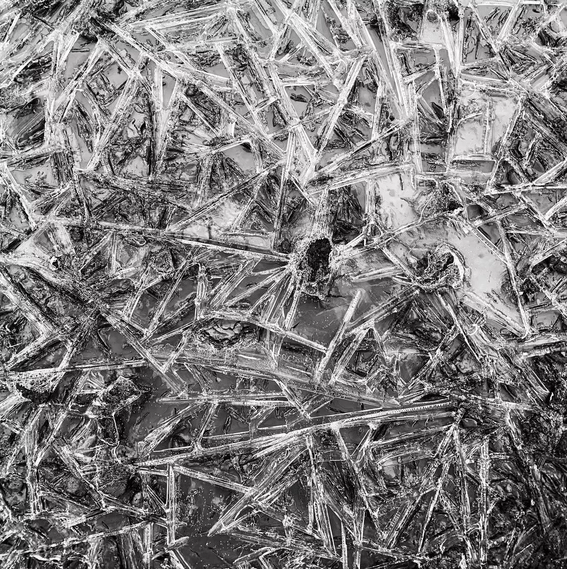 SÄRKYNYT, 2024
aluviilutaulu Matt fibre Photo -paperille, 30x30 cm