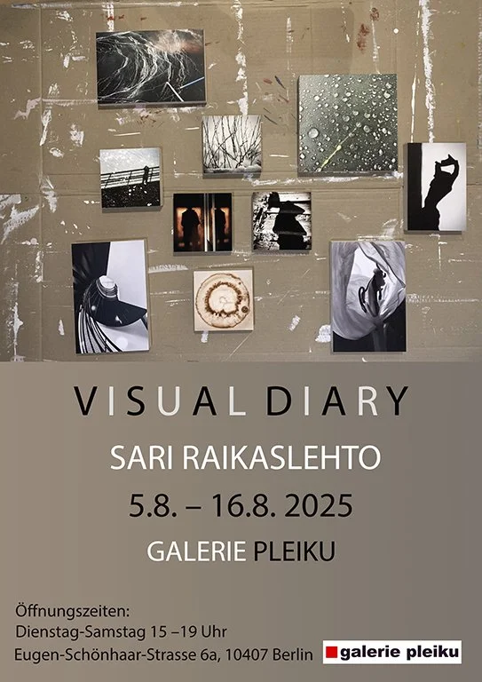 VISUAL DIARY, 2025
