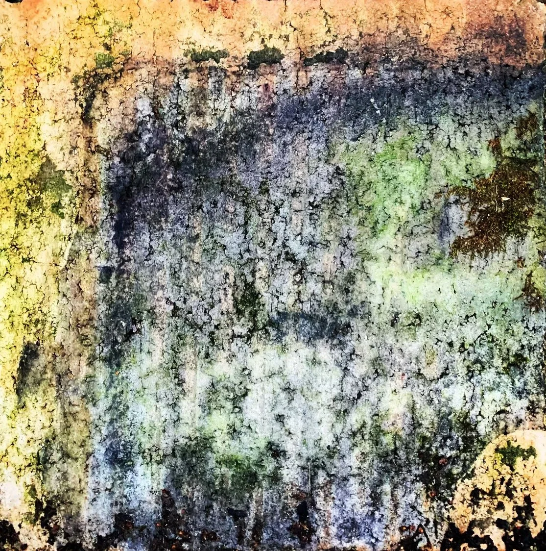 AU NATUREL, 2022/2024
miniviilutaulu Fine Art Hemp - paperille, 15x15 cm