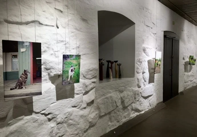 Aikamatkaaja -juuria etsimässä, 2021,
Galleria Pihatto, Lappeenranta