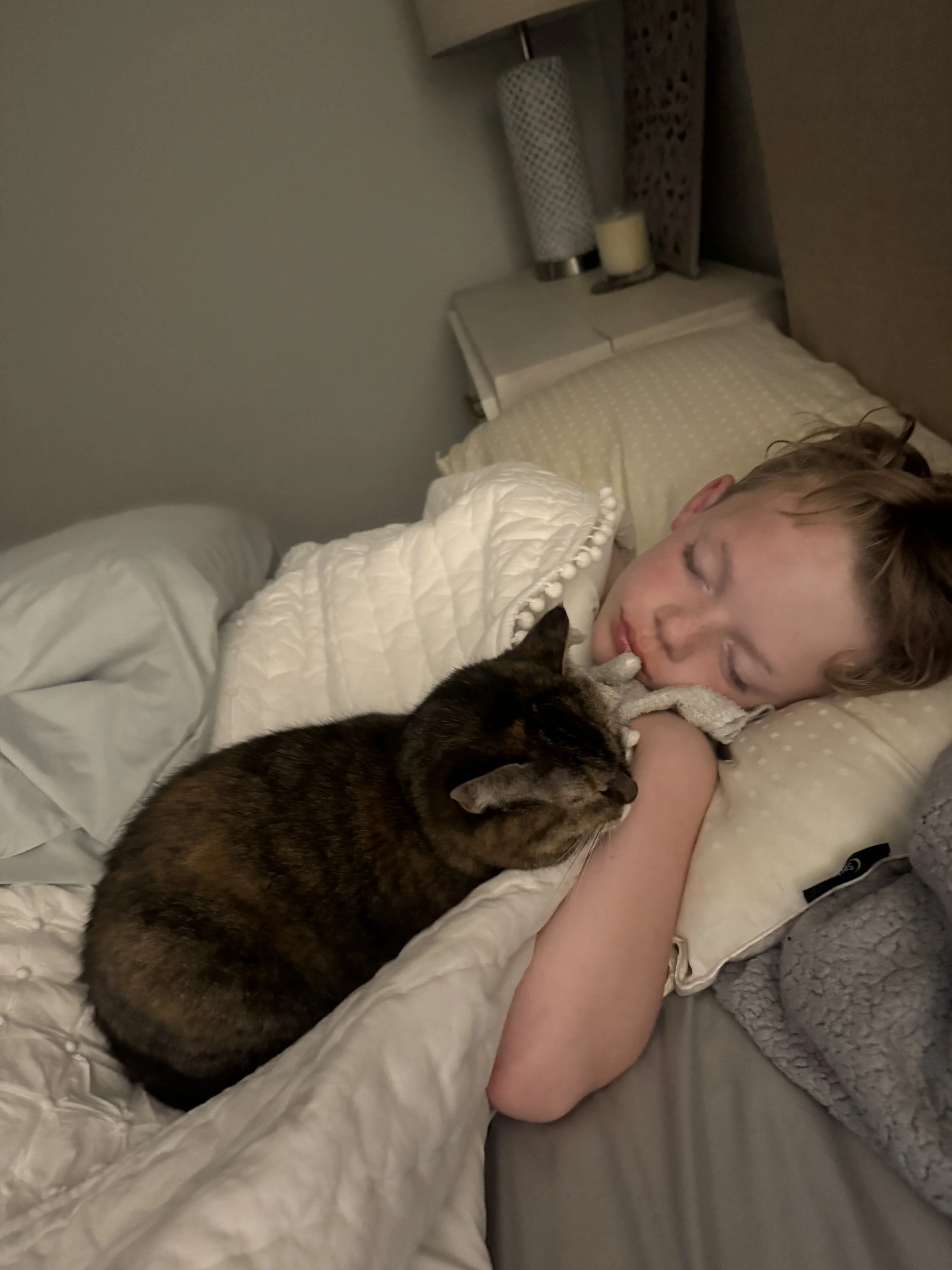 IMG_1995.jpeg