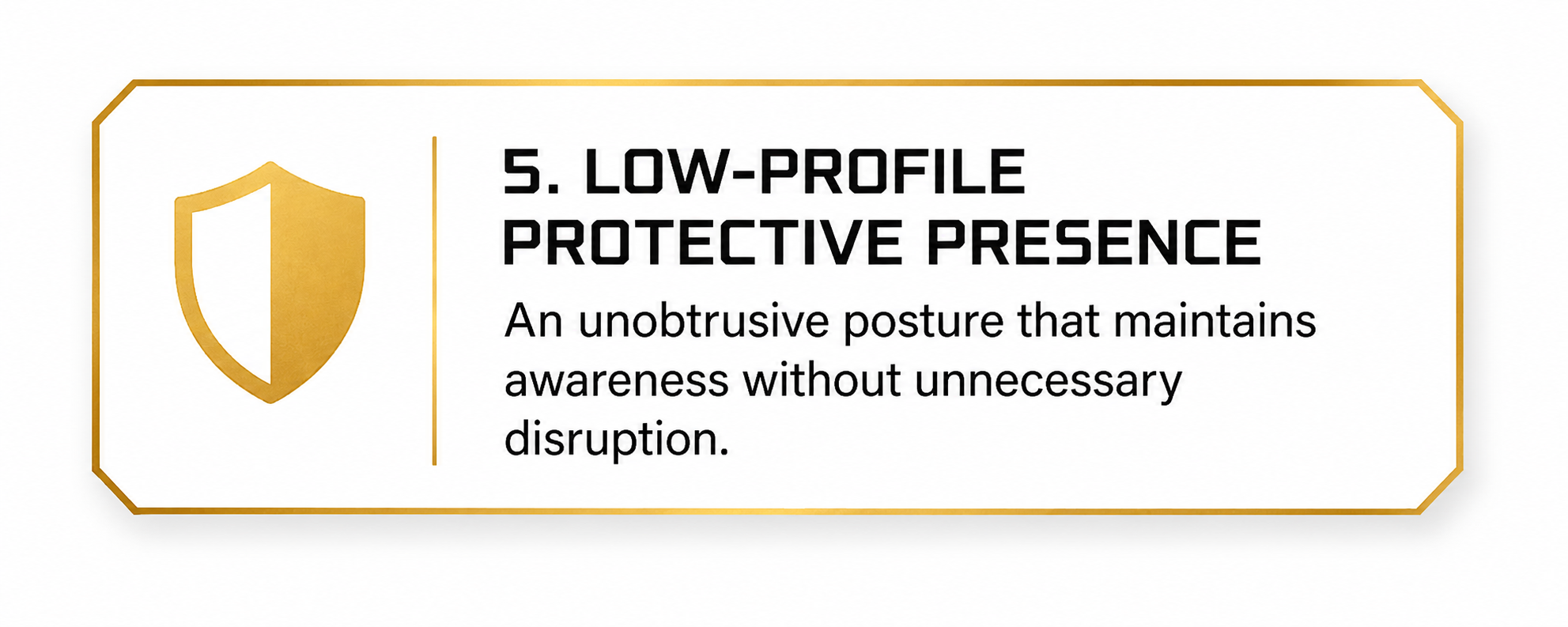 A graphic with a gold shield icon and text that reads: "5. Low-profile protective presence. An unobtrusive posture that maintains awareness without unnecessary disruption."