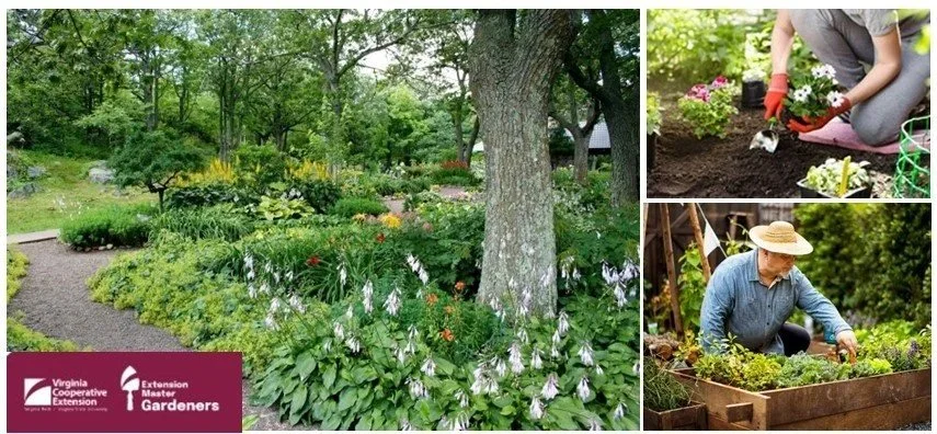 PRG August Meeting: Rapidan River Master Gardeners