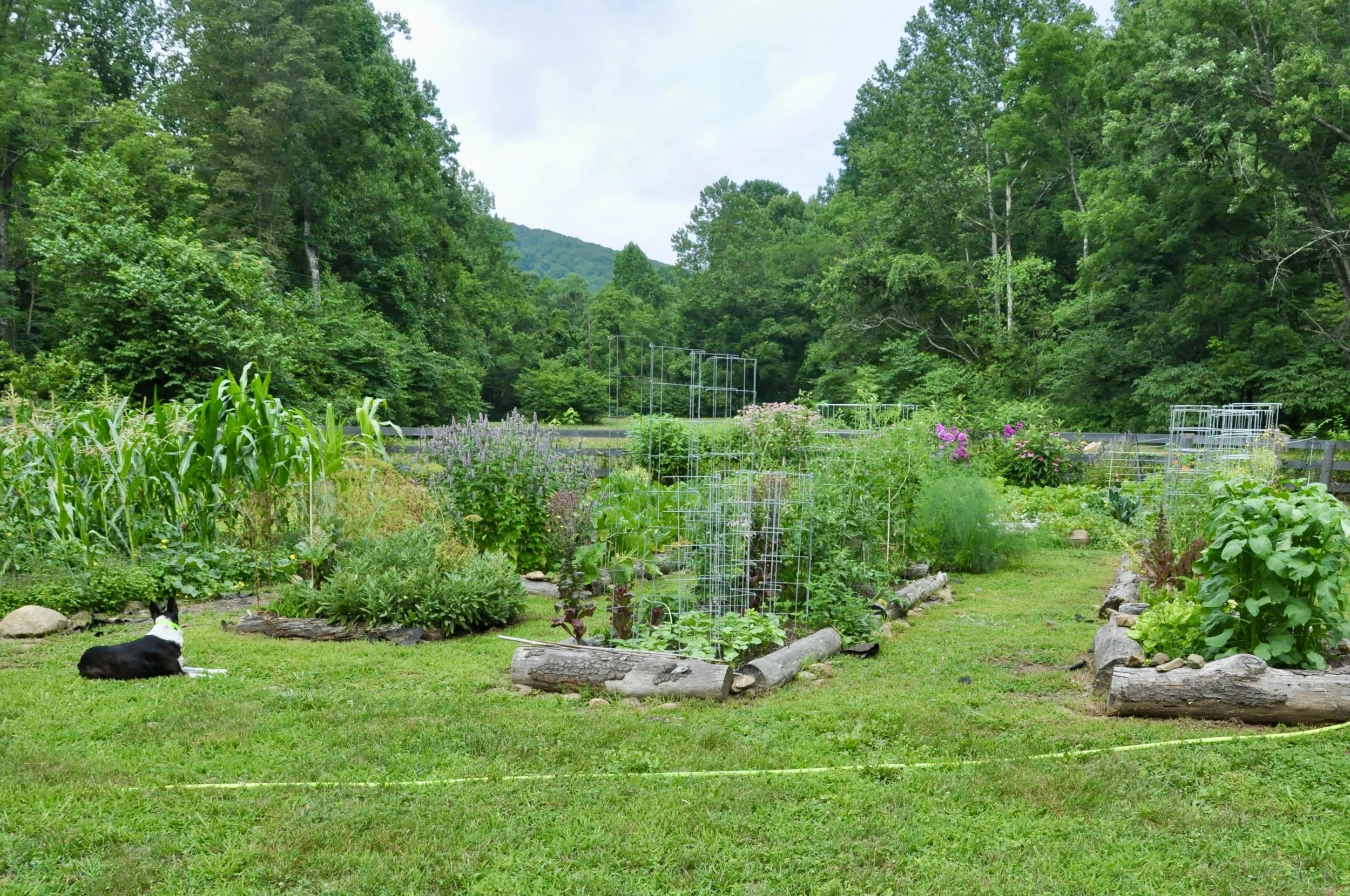 PRG September Meeting: Homesteading and Regenerative Farming