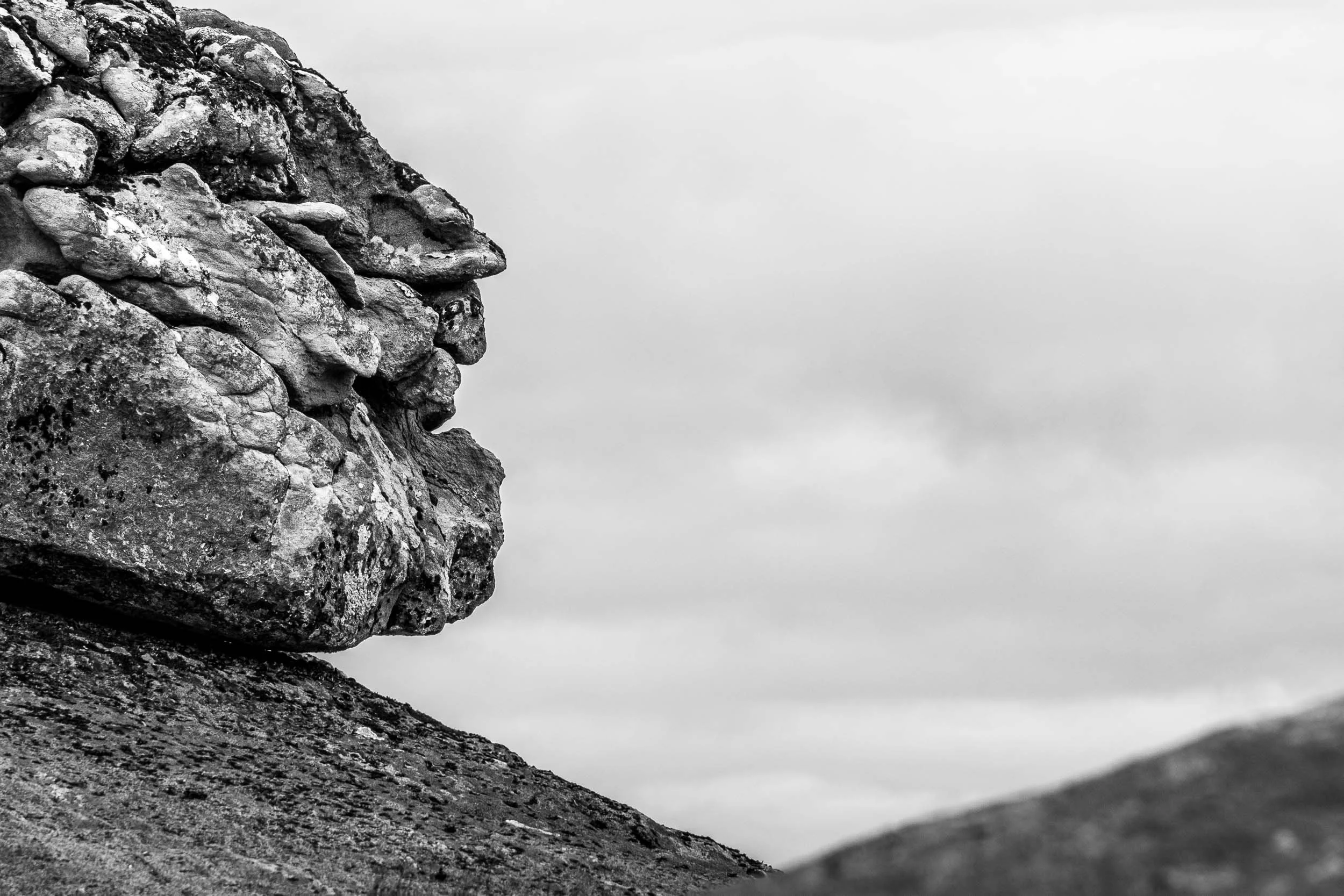 Ansikt i stein I