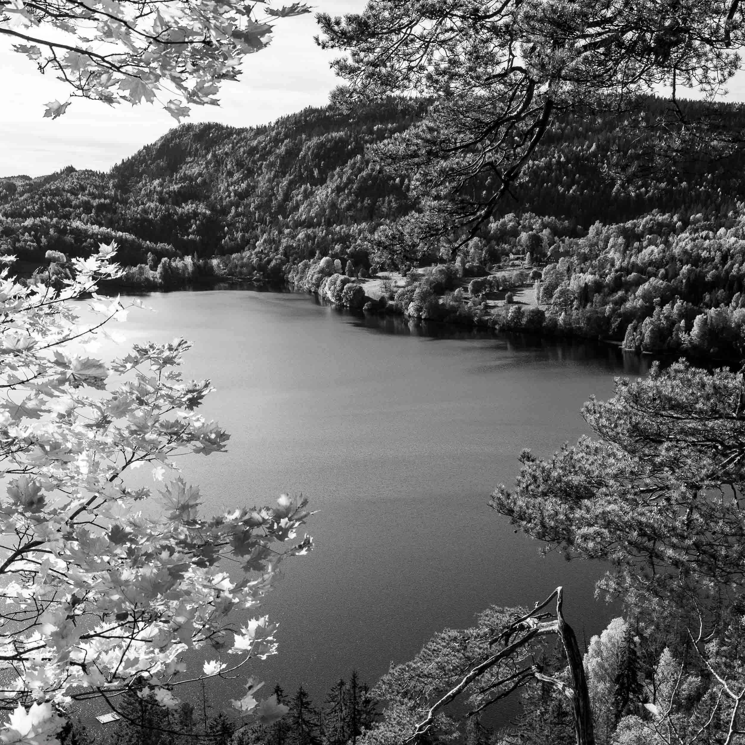 Semsvannet, Asker