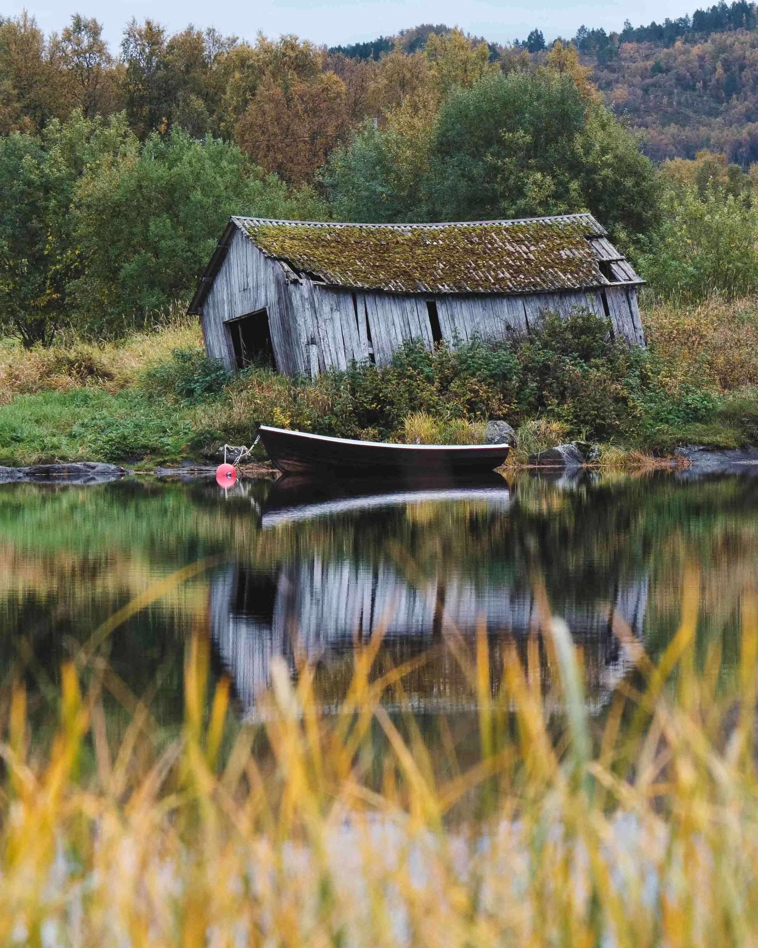 Gammelt naust og robåt