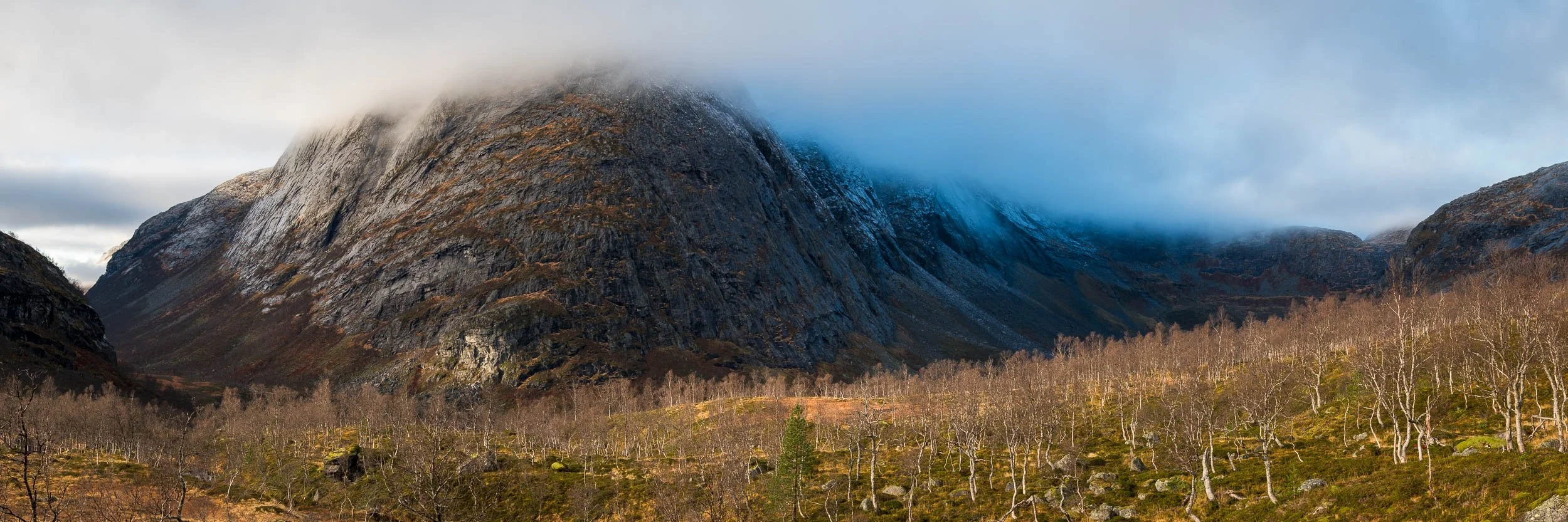 Høyde 883 ved Bogvatnet