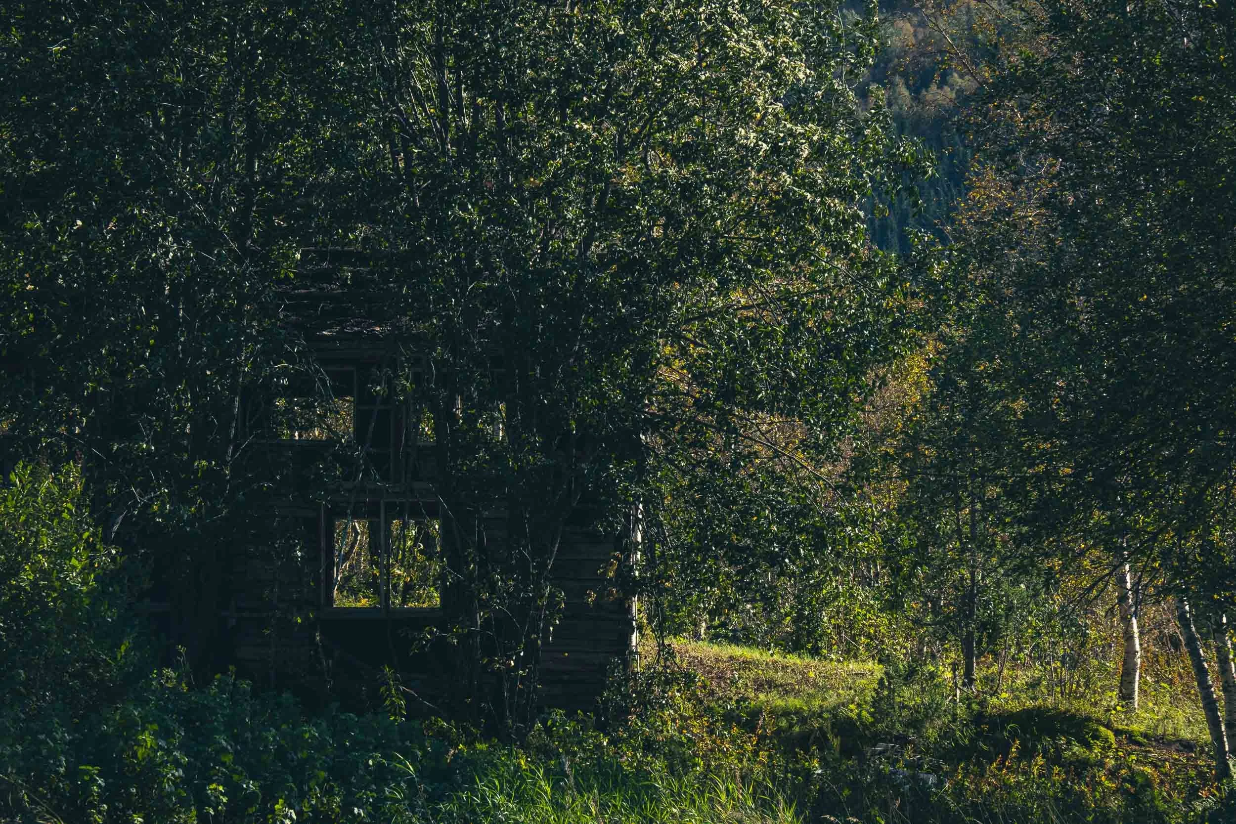 Naturen tar tilbake II