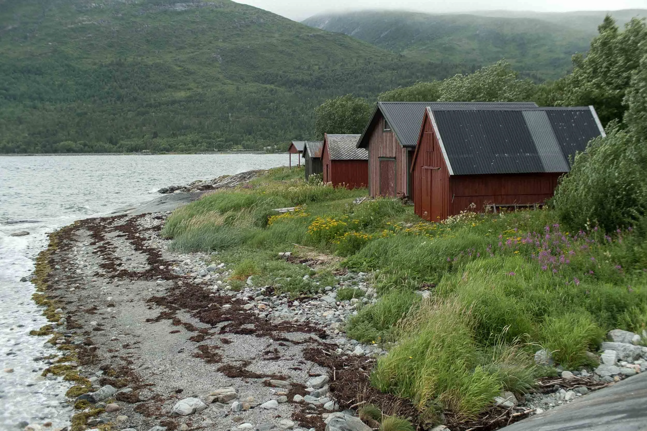 Naust i Nordvika