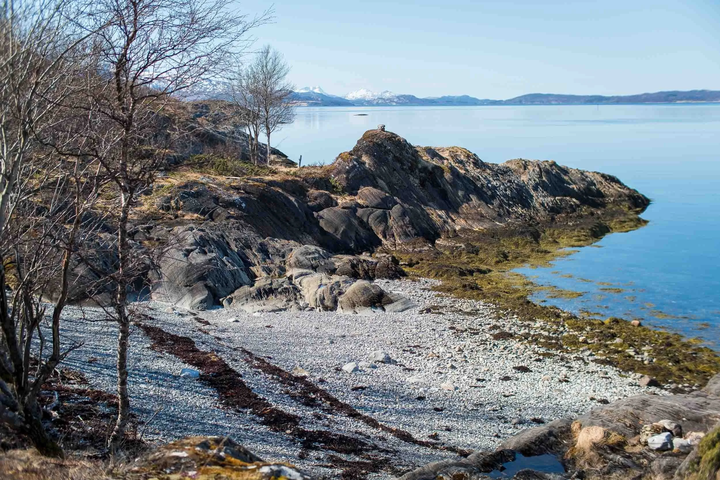 Vik på Alvenes