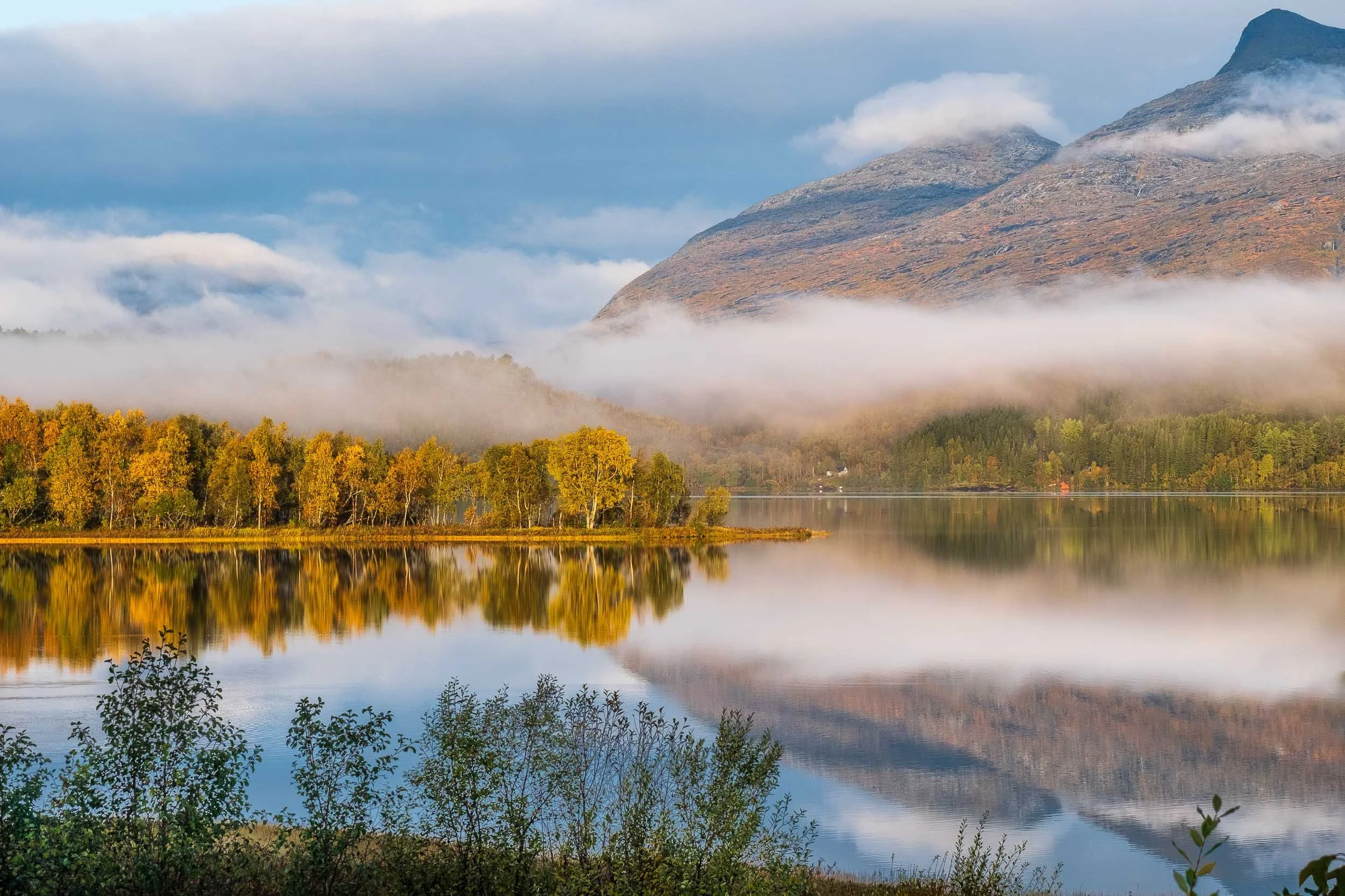 Høstfarger og morgendis