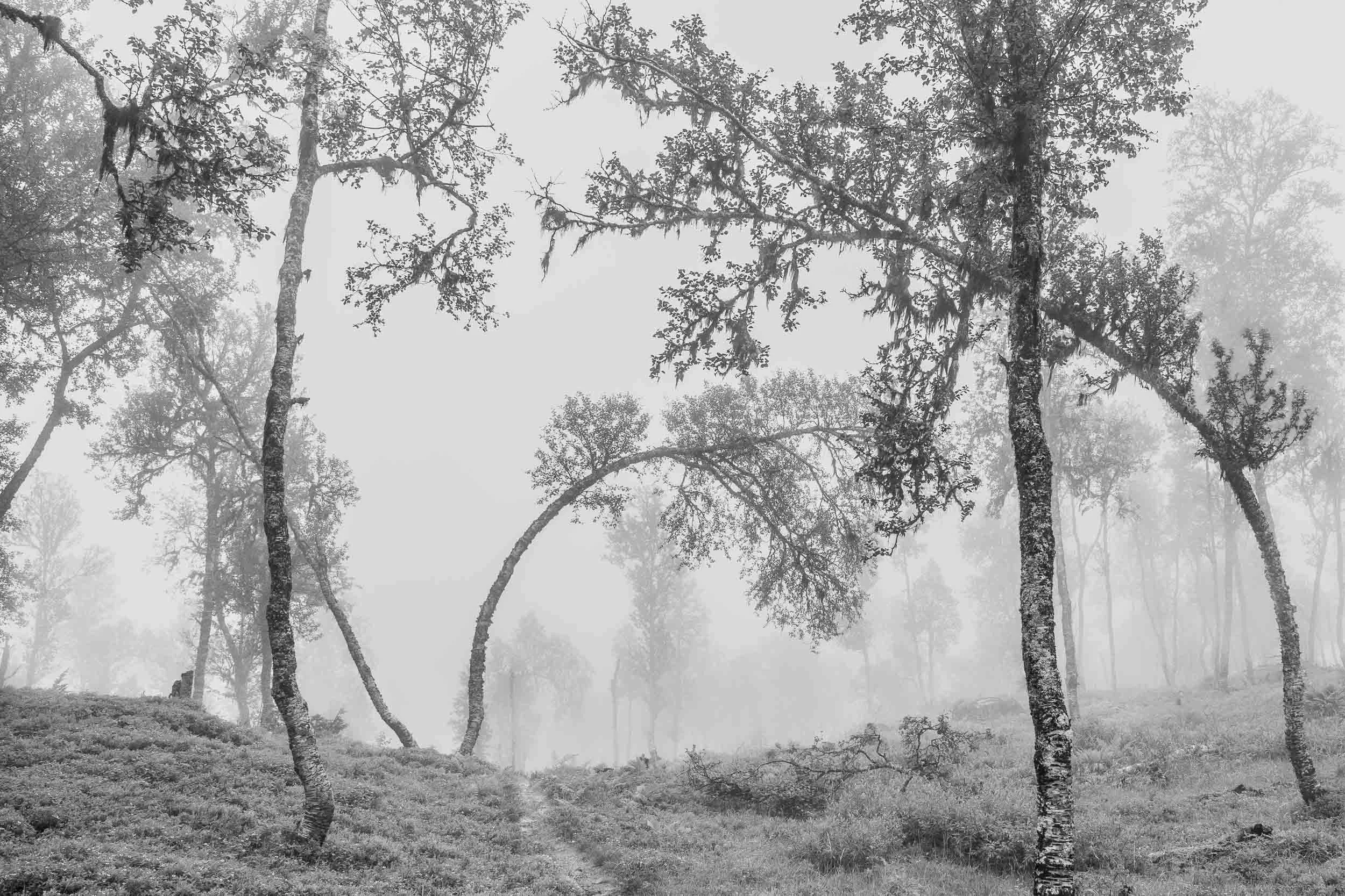 Tåke på vei til Storskarfjellet