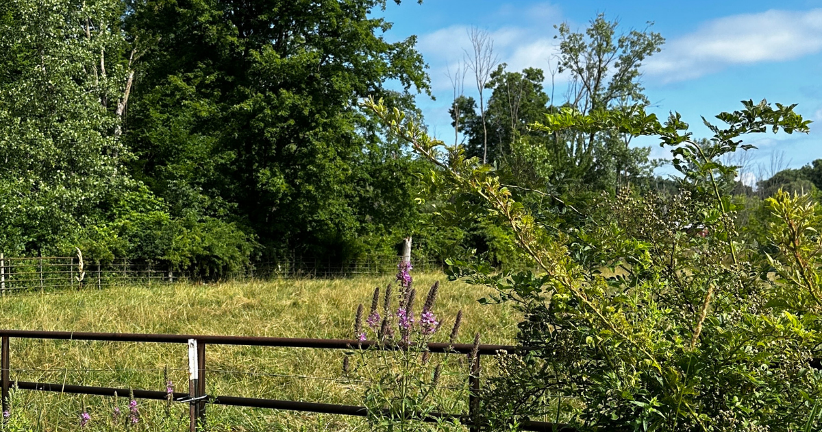 We Moved to a Small Town.                I Didn’t Know How Much                          I Needed It.